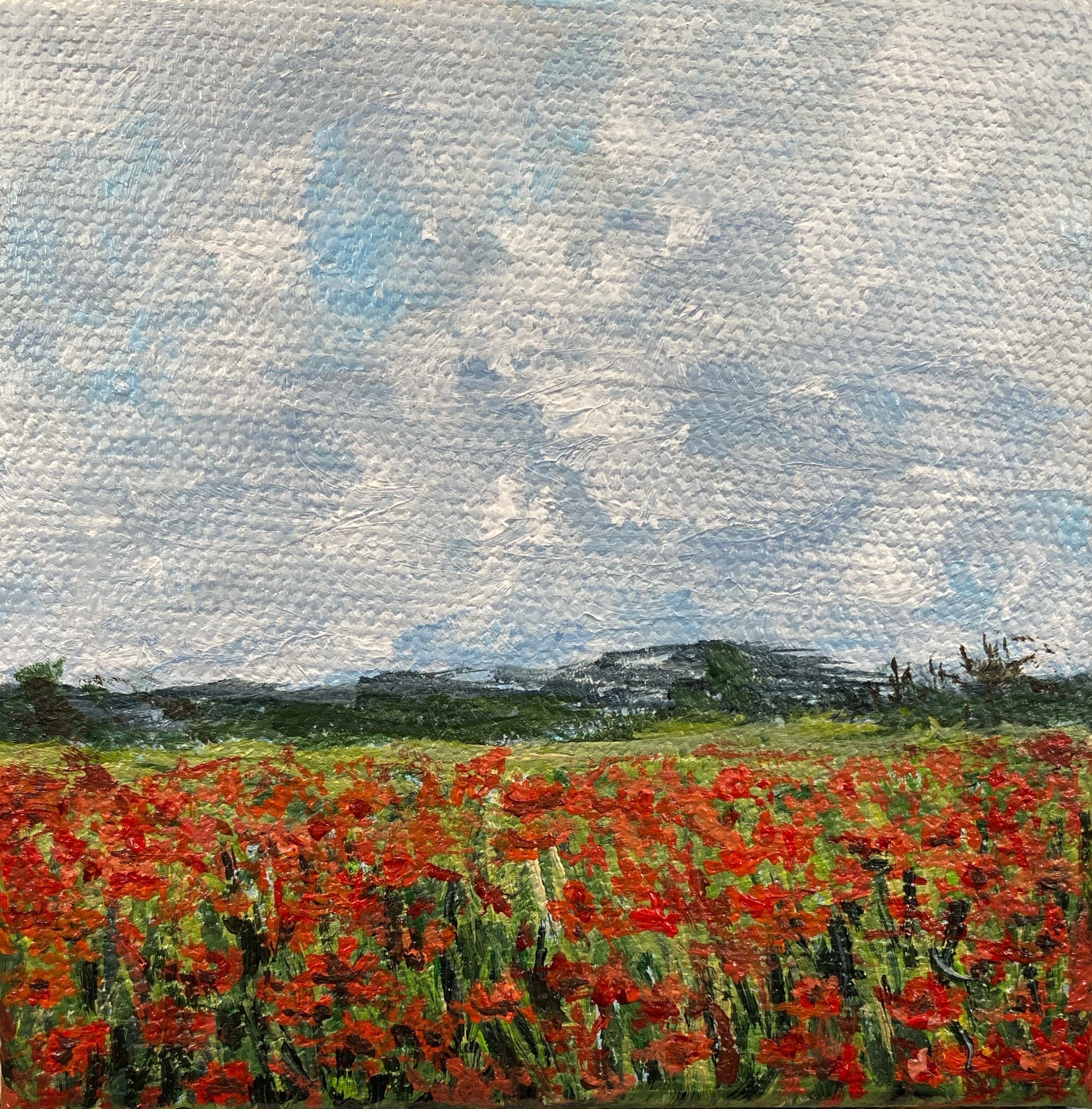 Poppies for Miles