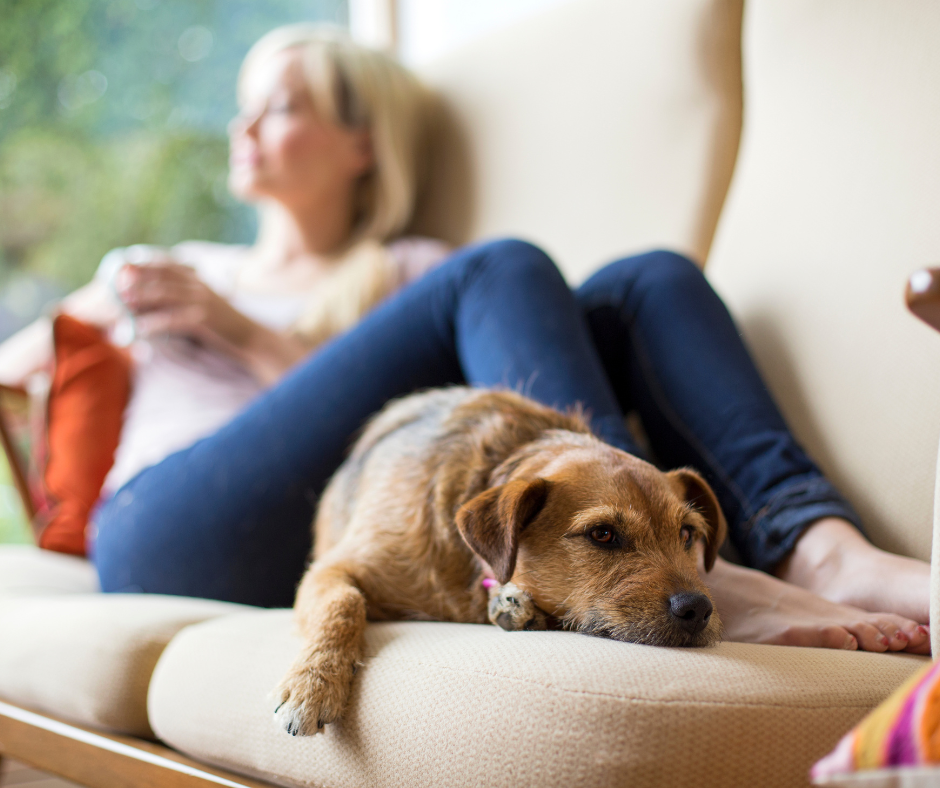 Public holidays 2026