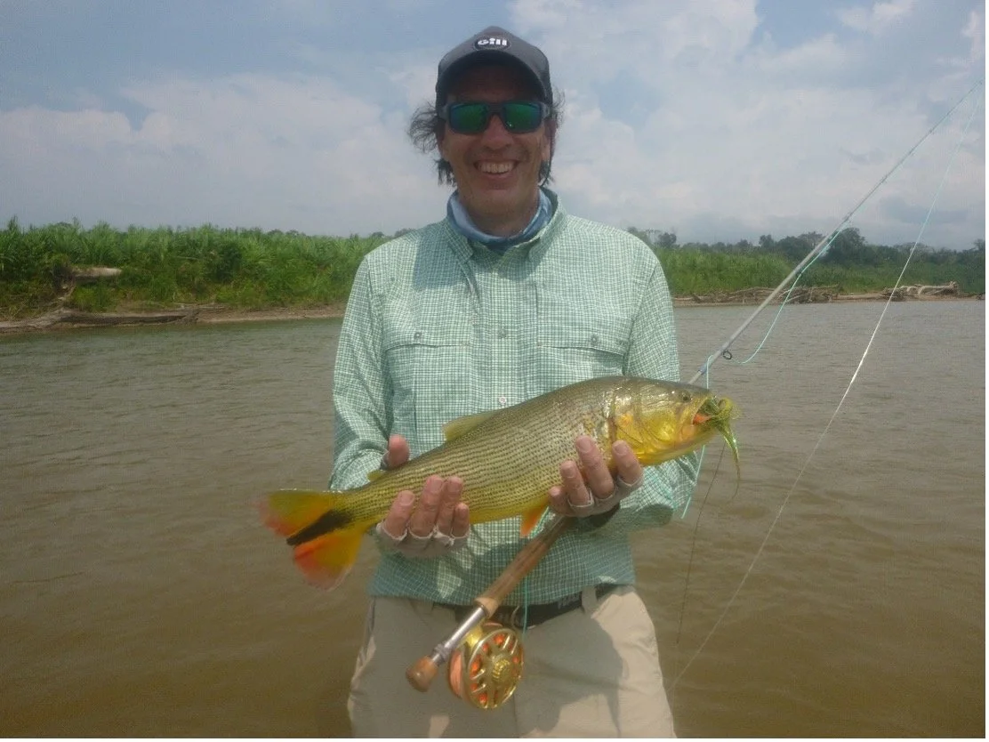 Golden Dorado
