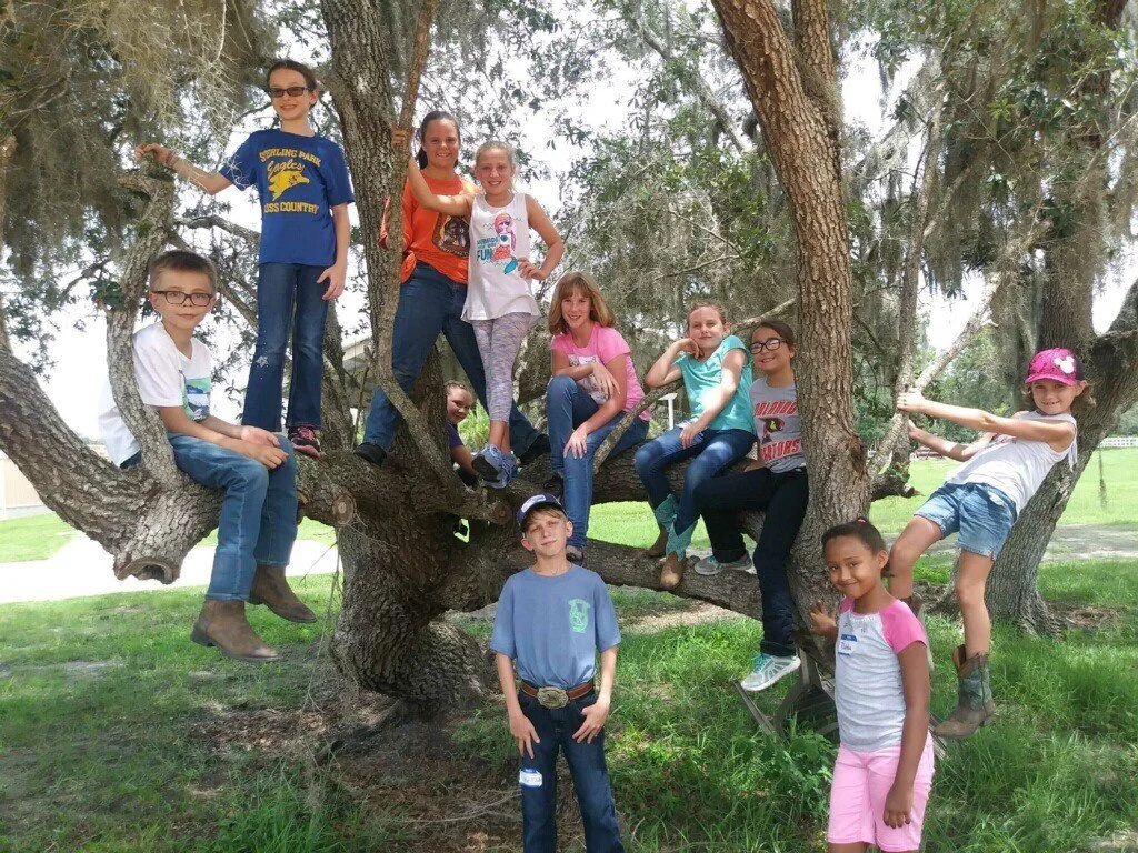 camp-kids-in-tree.jpg