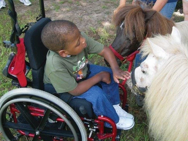 pewheelchair.jpg