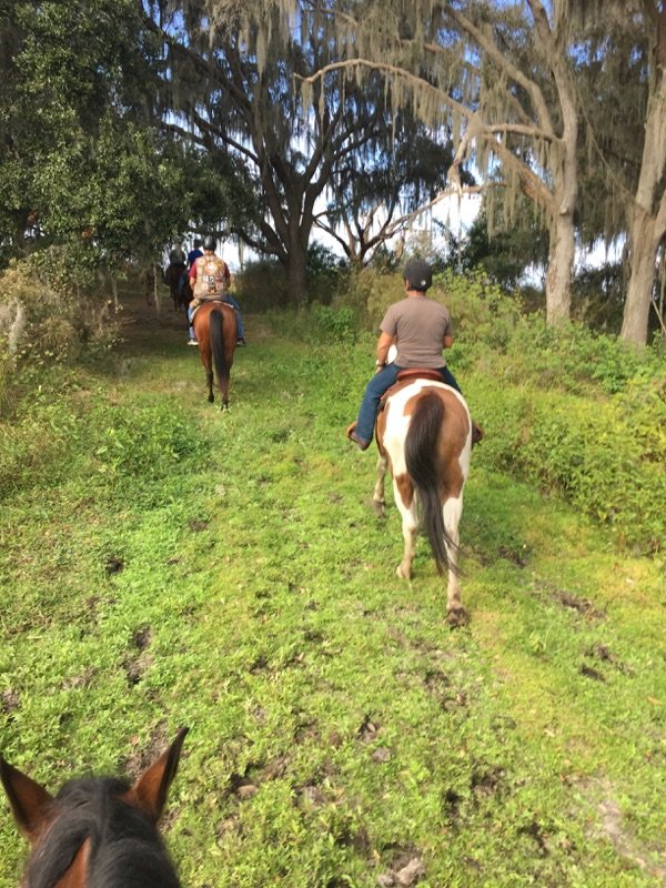 trail-ride-2.jpg