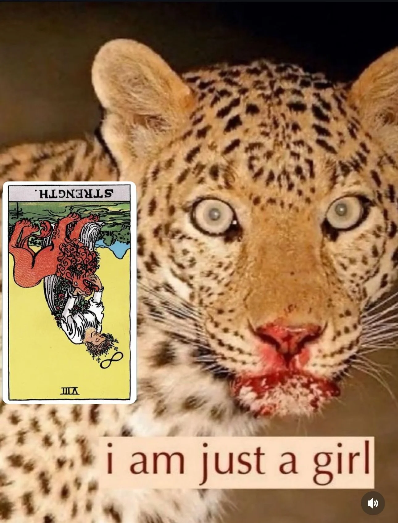 lunar new year / solar eclipse / new moon weekend dump ♒️🌑🌎🐎