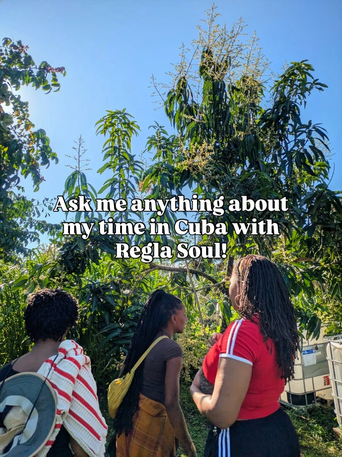 I went to Cuba for a Farming + Sustainability fellowship with ReglaSOUL back in December, and I came back with a gallery full of pictures/videos and a heart full of cherished memories 🥰 but I've barely shared any of it here! So help me be intentiona