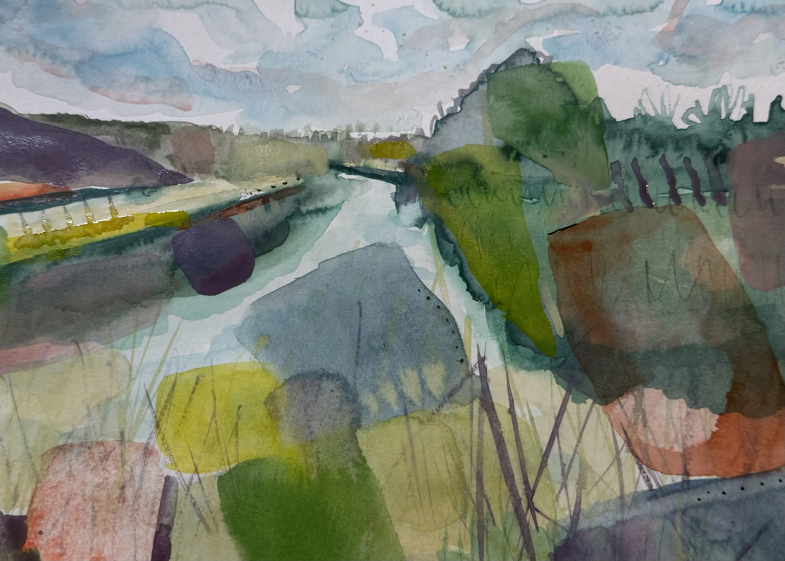 Sun through the reeds