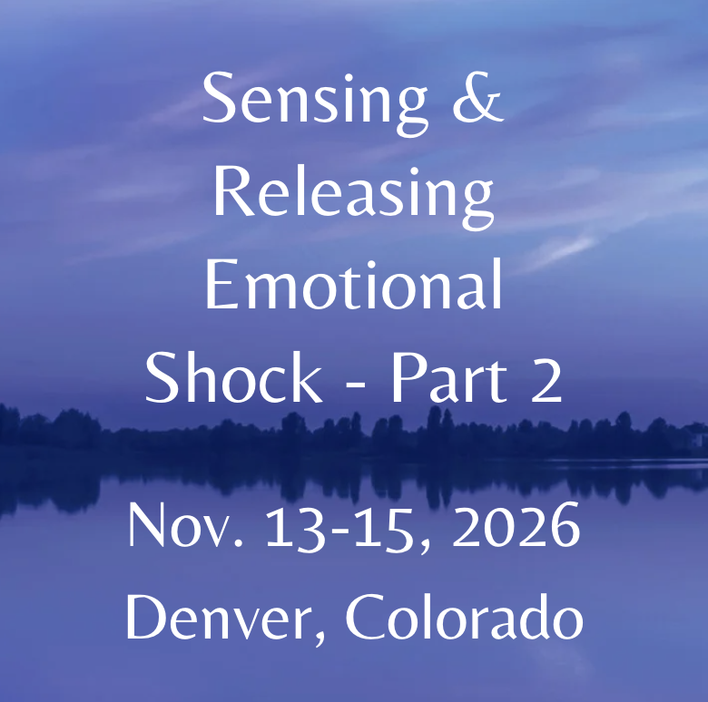 Screenshot 2026-02-17 at 6.11.50 PM.png