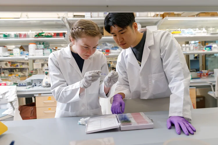 THE LIM LAB