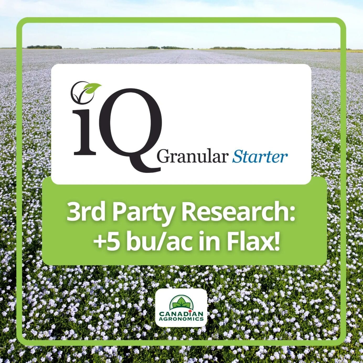 What would you do to increase your Flax yield by 5 bu/ac? 🌱 

Good news... all you need is iQ Granular Starter! This 100% OMRI approved Organic Layer Poultry Compost will benefit any soil that needs an increase in porosity, organic matter/carbon or 