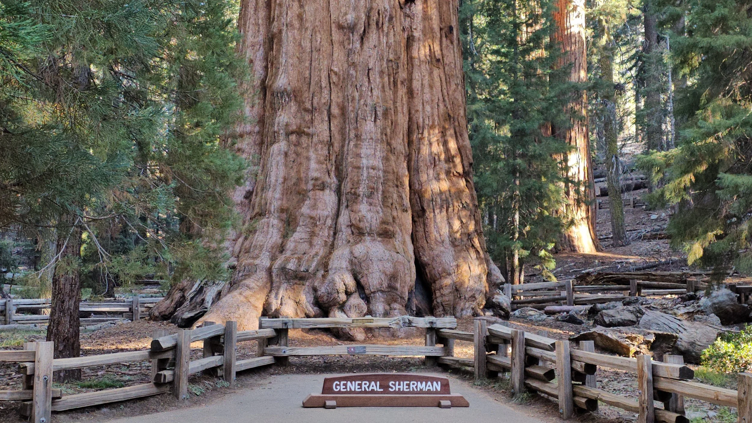 General Serman at Seqouia National Park in California
