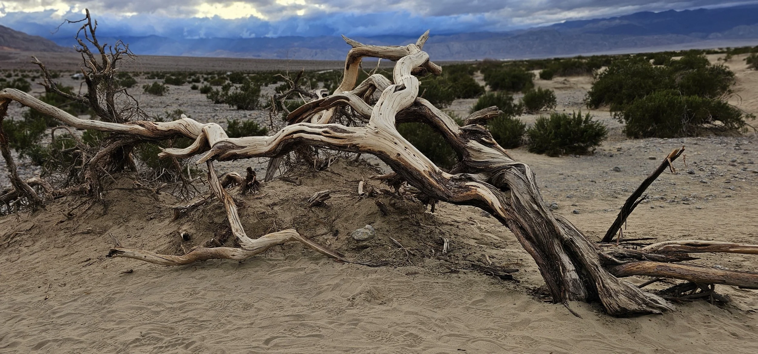 Death Valley National Park- picture by, Sunshine and Beaches Traveler