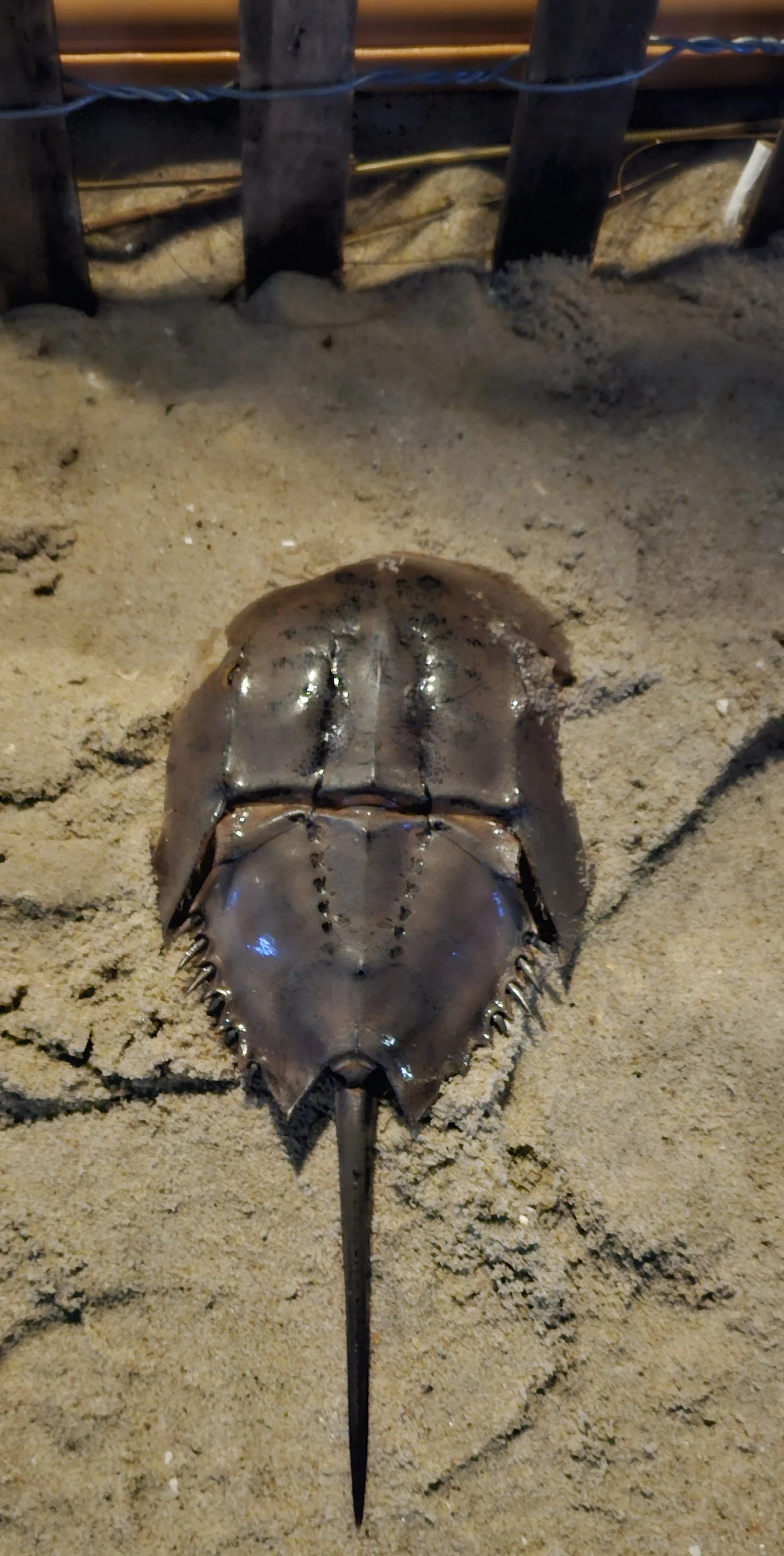20230929_211746 - Copy.jpg