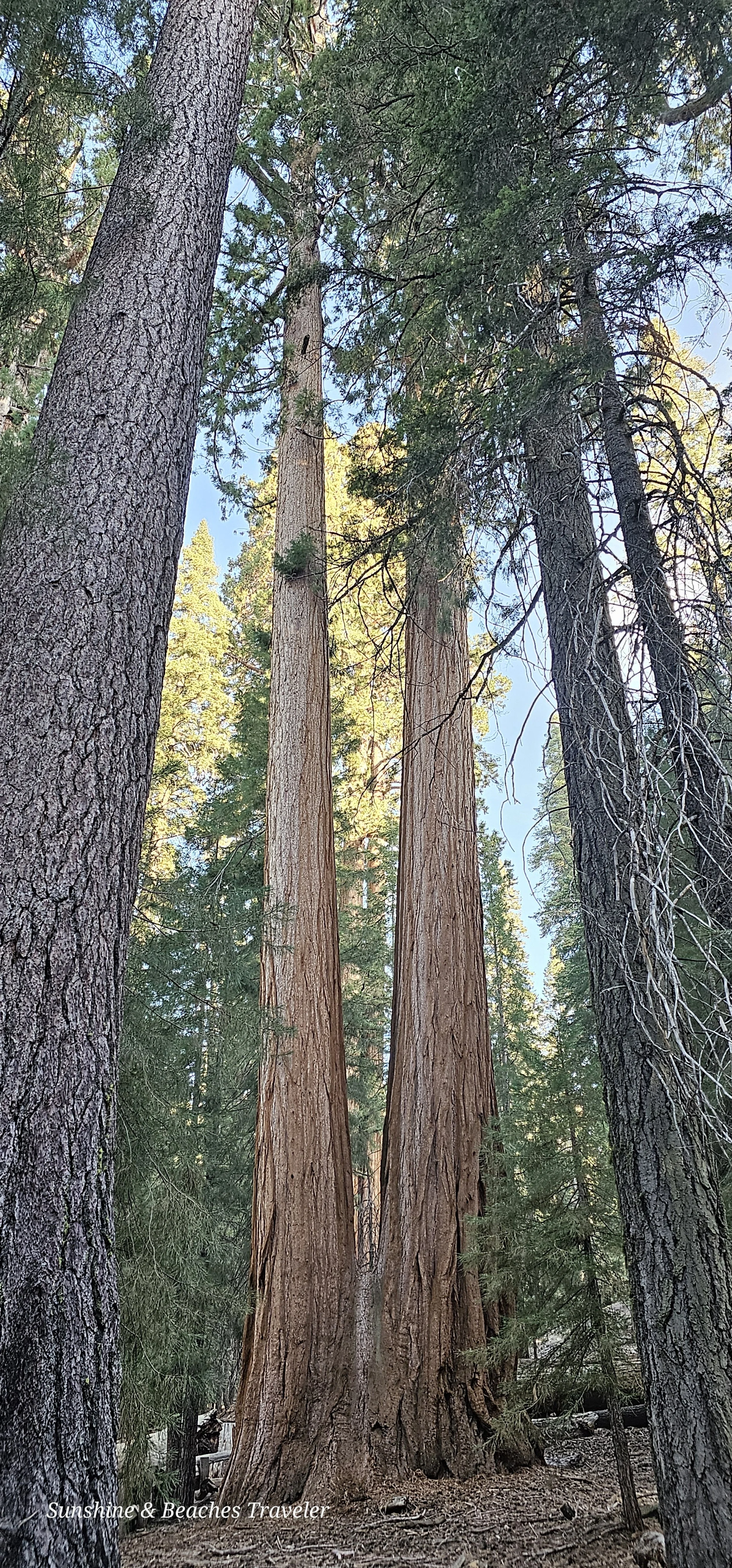20231103_084732.jpg
