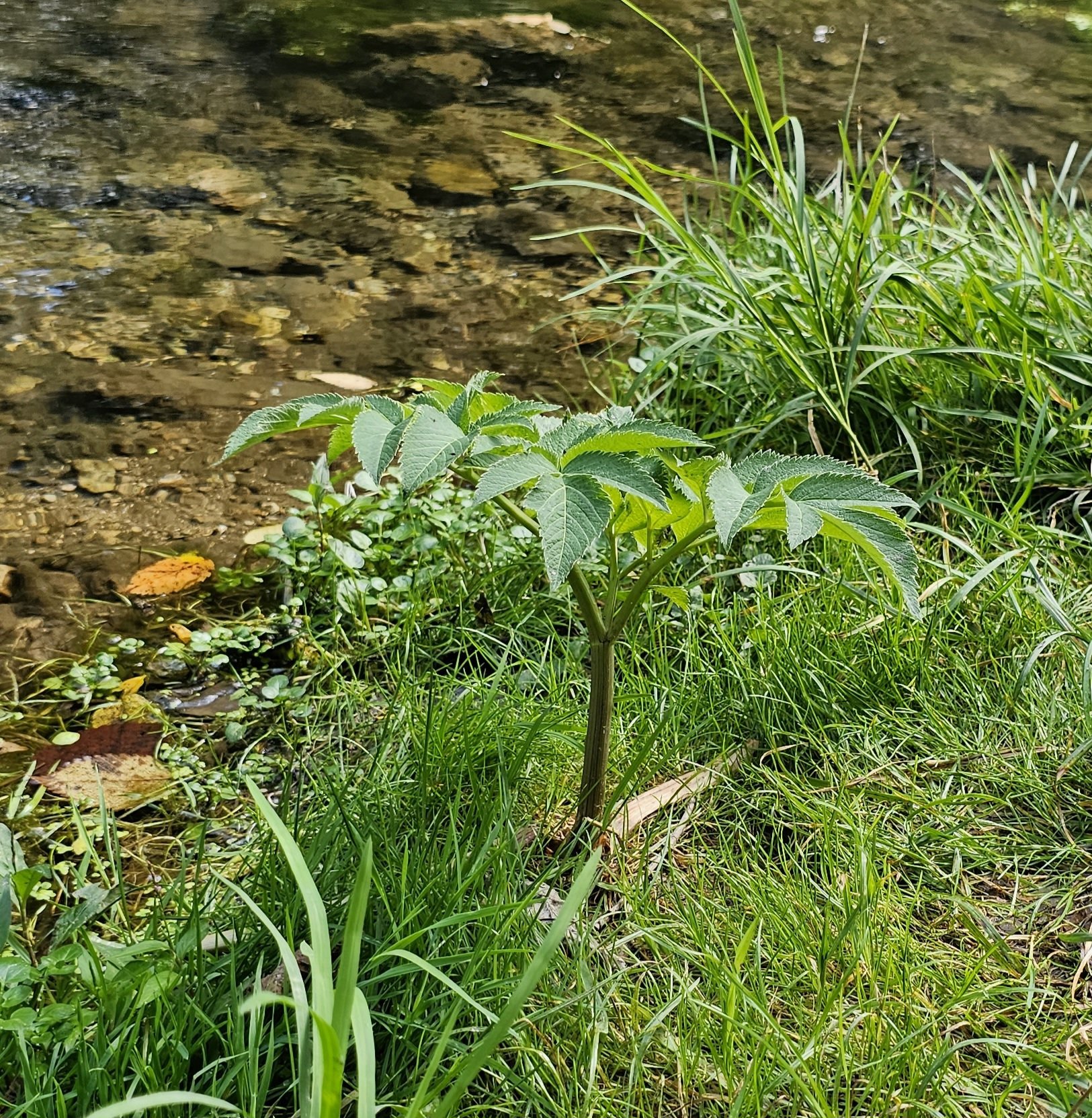 20230825_121102 - Copy.jpg