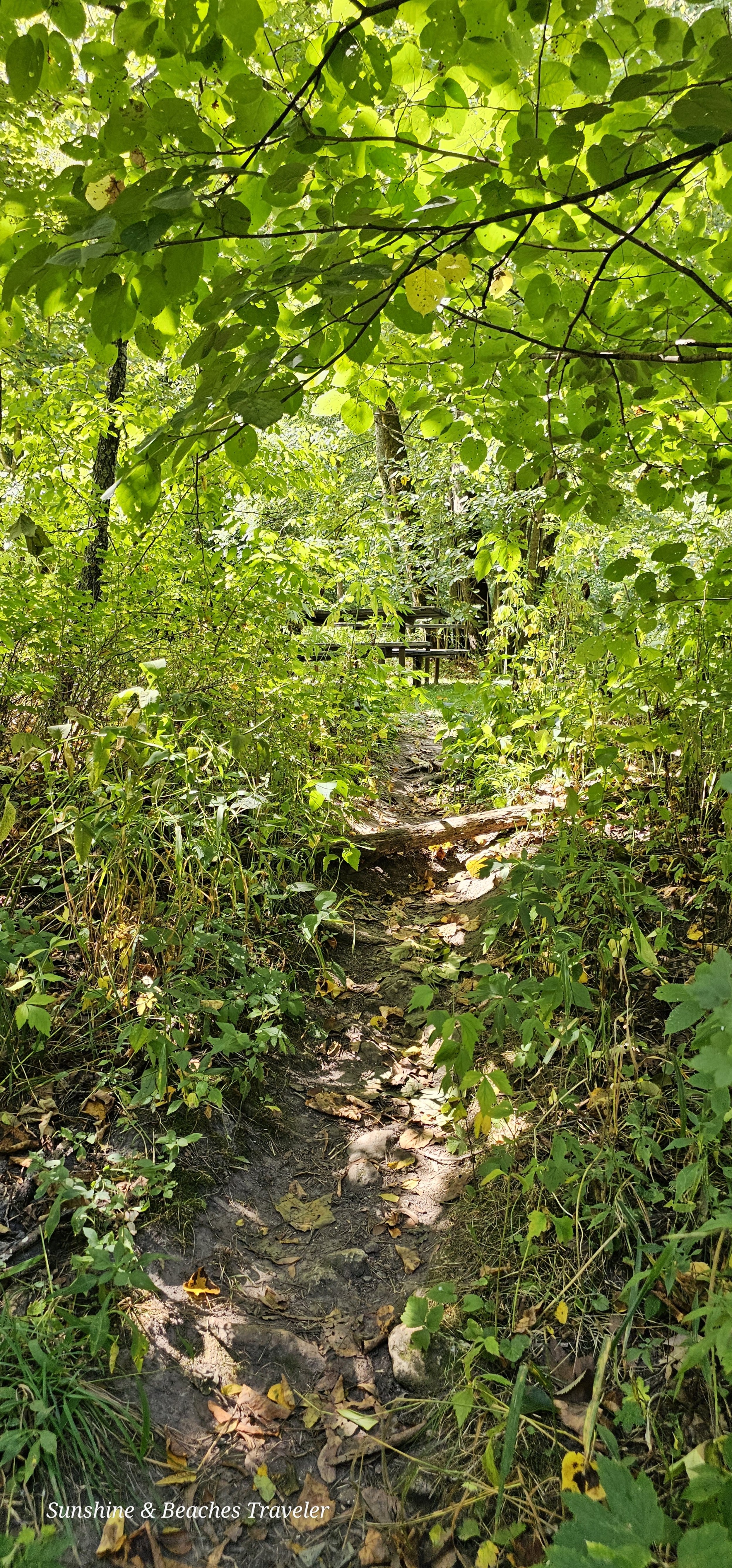 20230825_121433 - Copy.jpg
