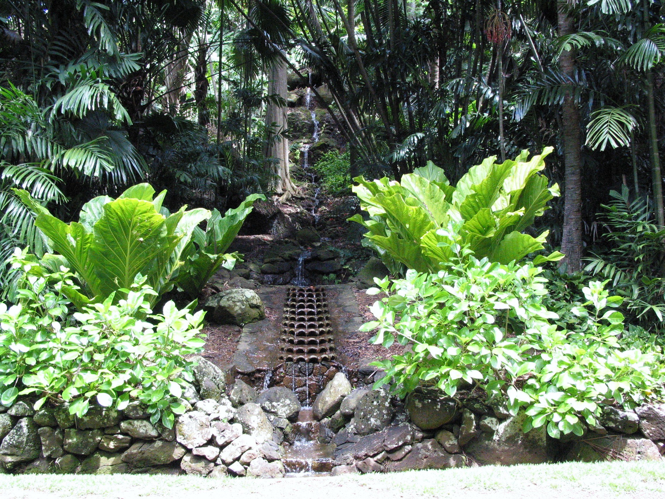 Allerton Garden Guided Tour