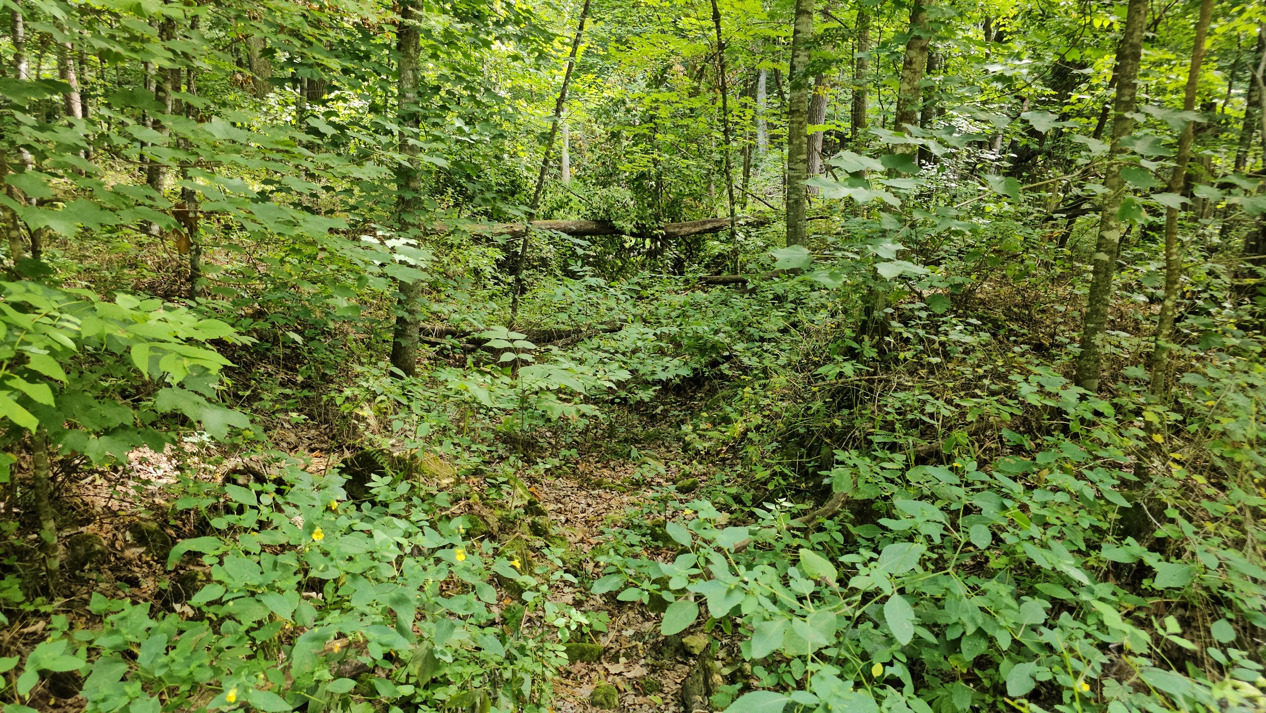 20230825_113425.jpg