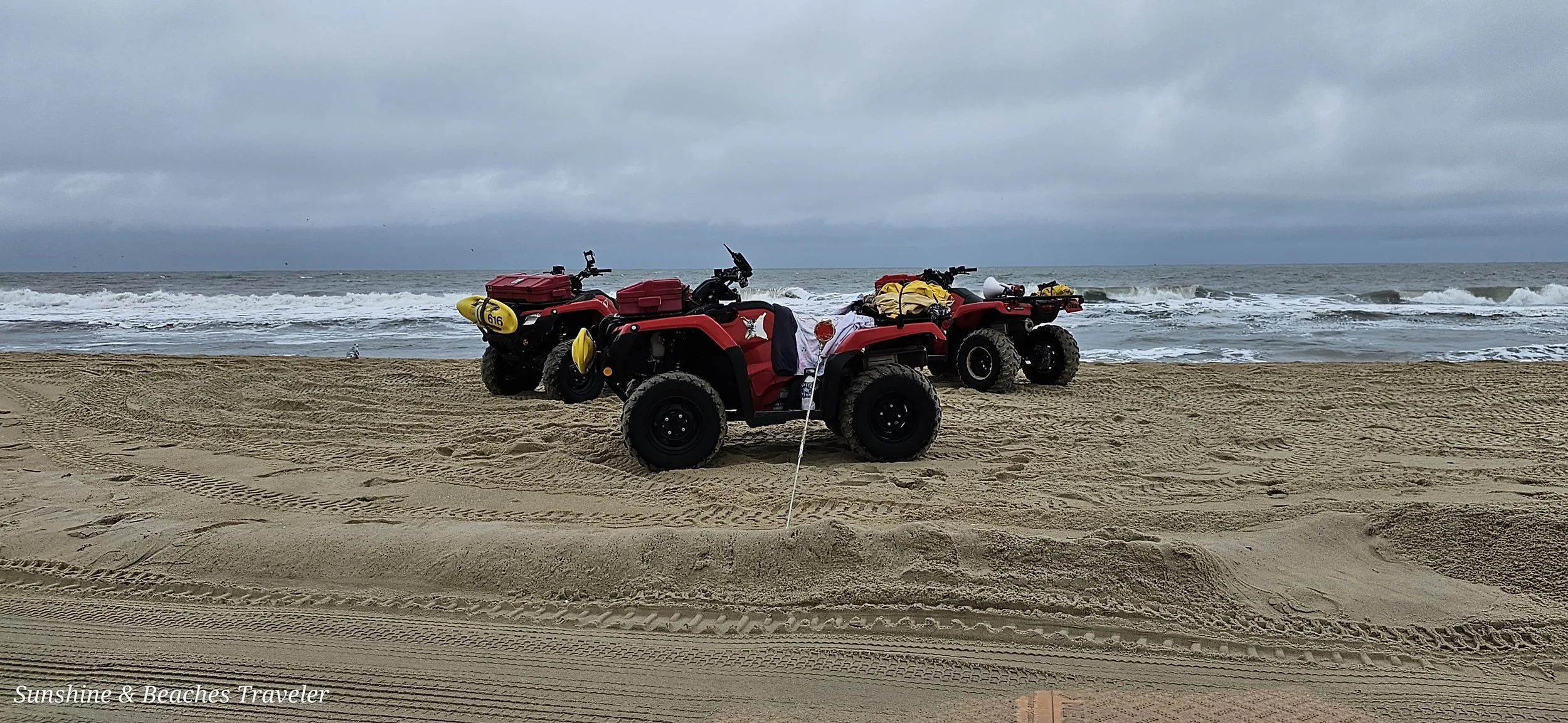 20230929_164330 - Copy.jpg