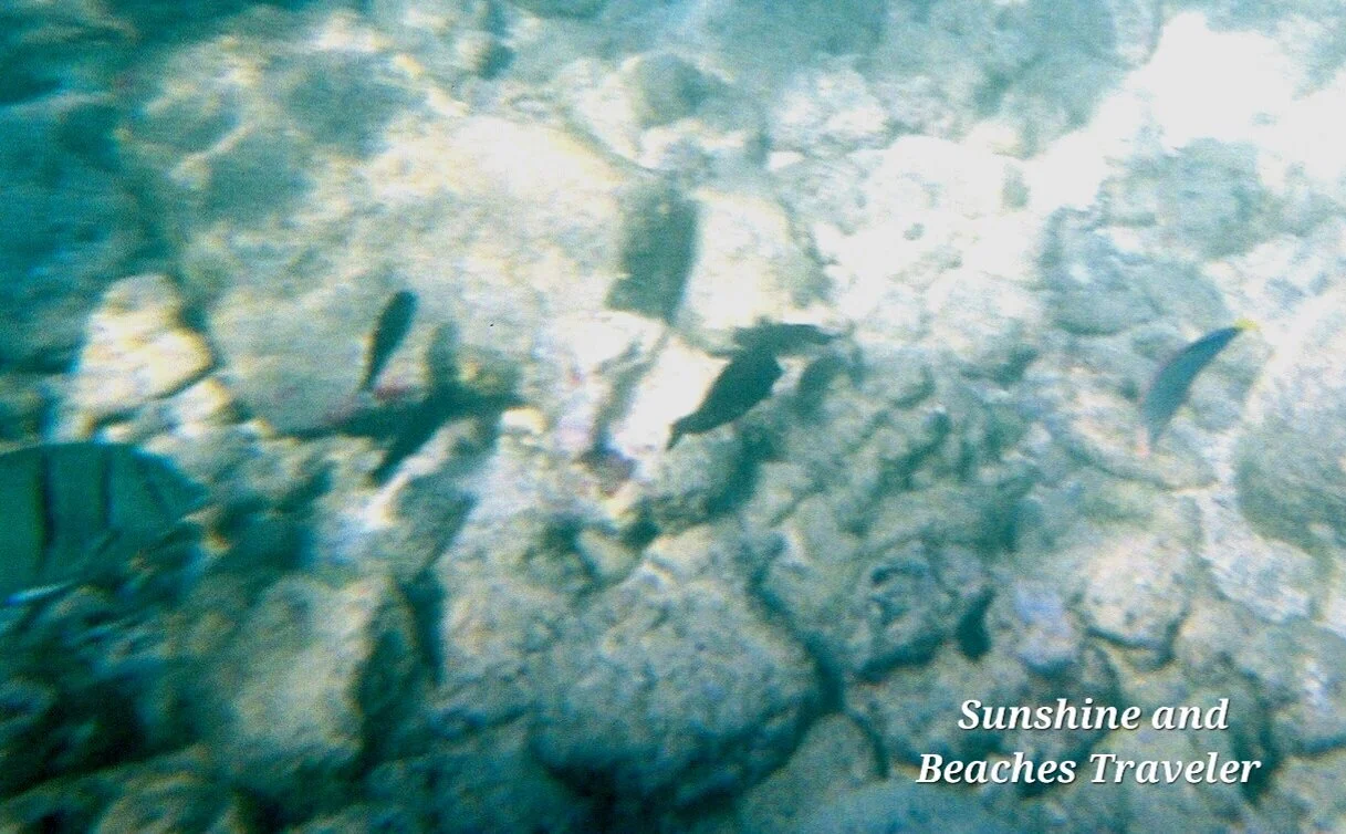 Snorkeling at Ke’e Beach, Ha’ena State Park, Kauai, Hawaii