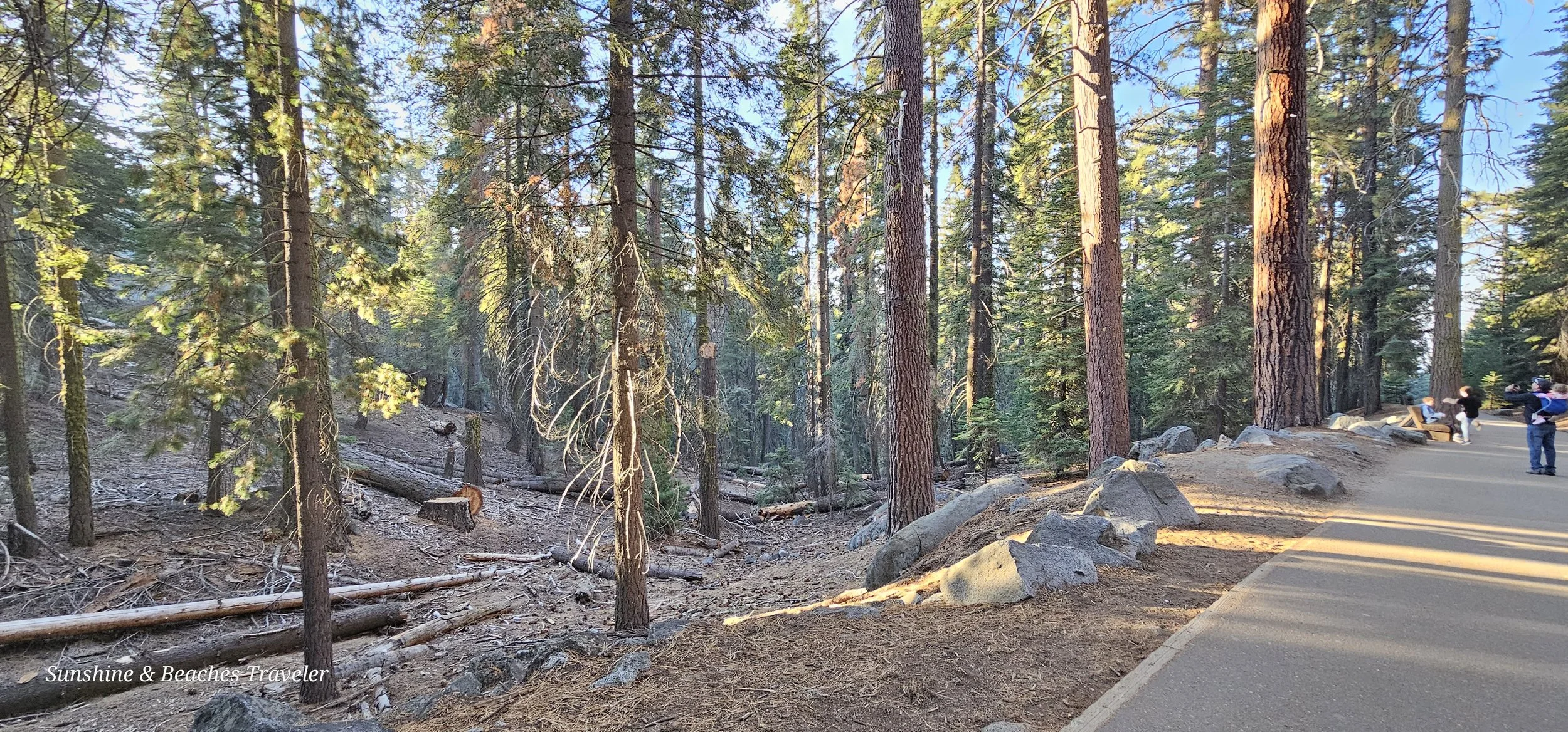 20231103_082623.jpg