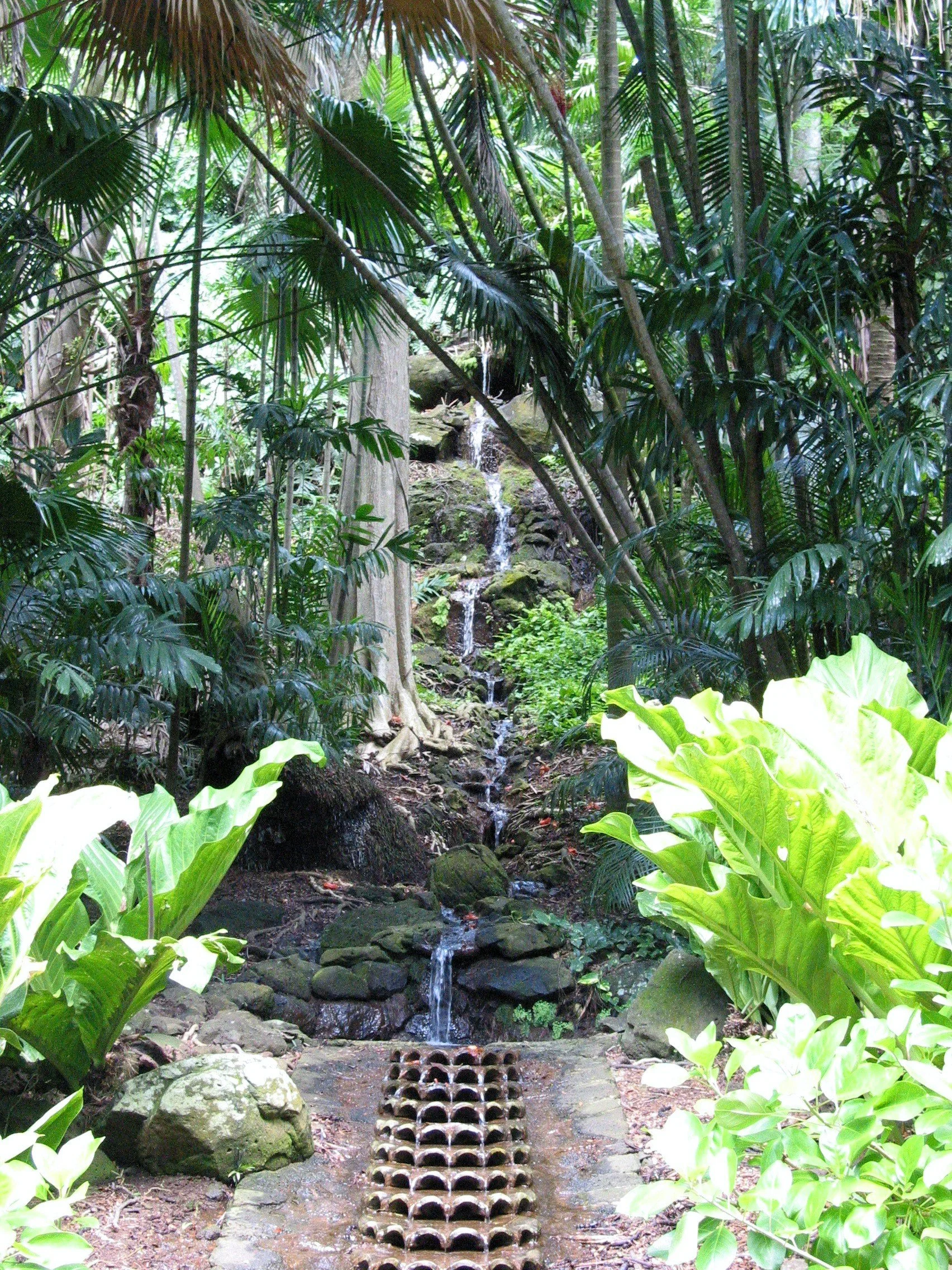 Allerton Garden Guided Tour