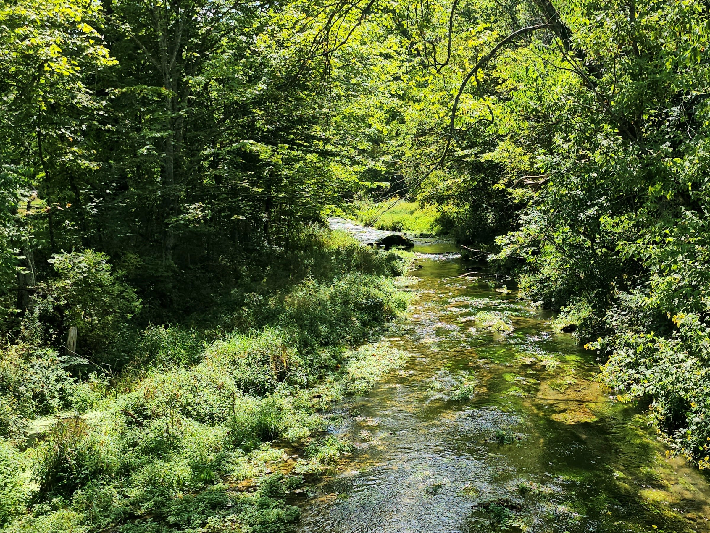 20230825_121714 - Copy.jpg