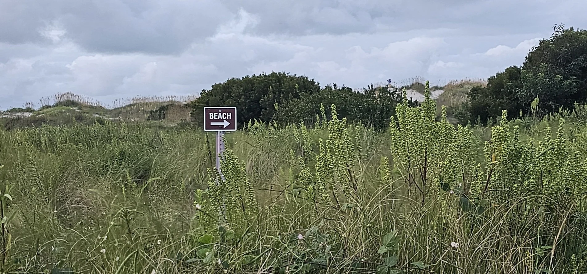 20230926_184857.jpg