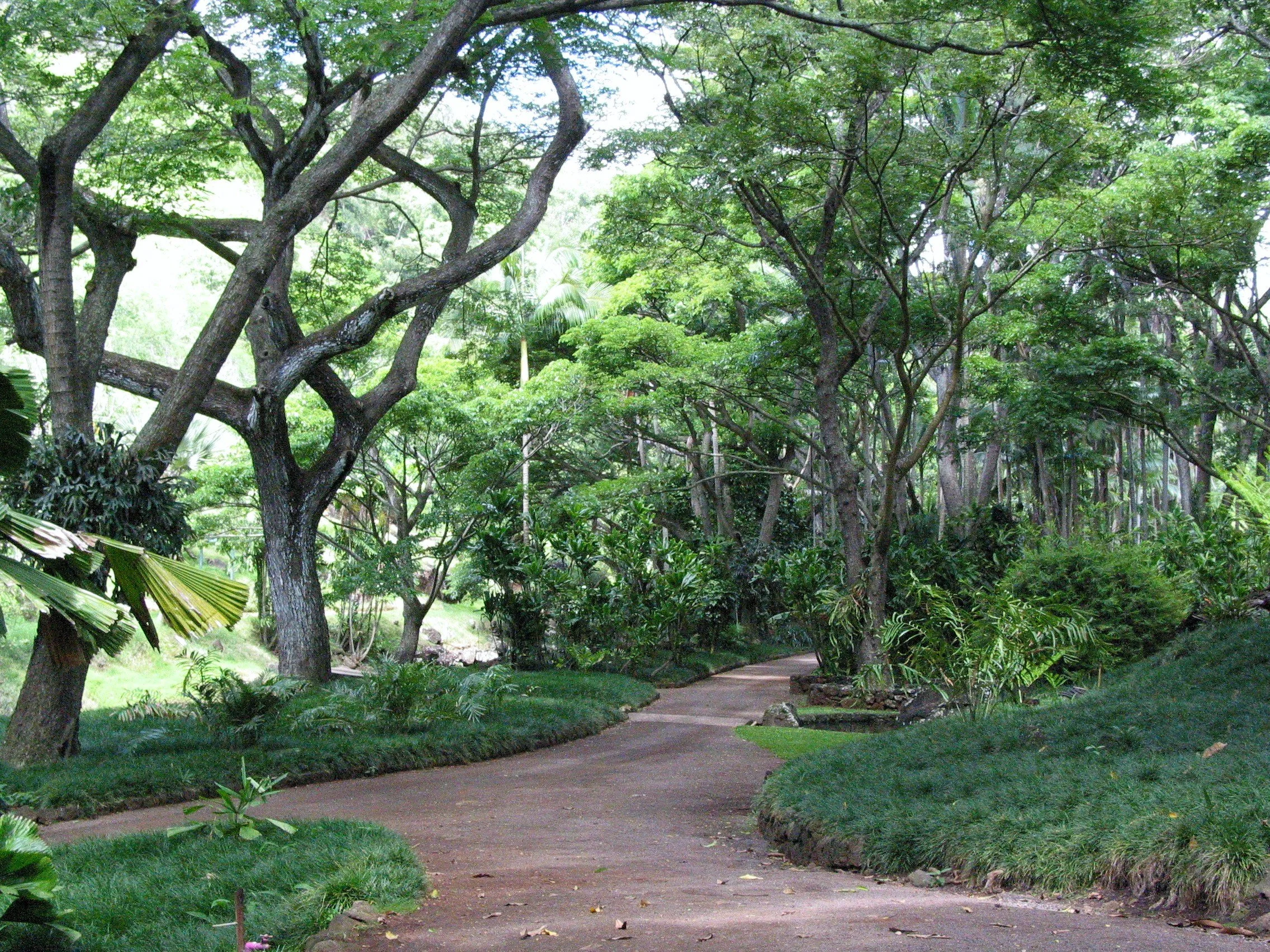Allerton Garden – National Tropical Botanical Garden – Kauai, Hawaii 
