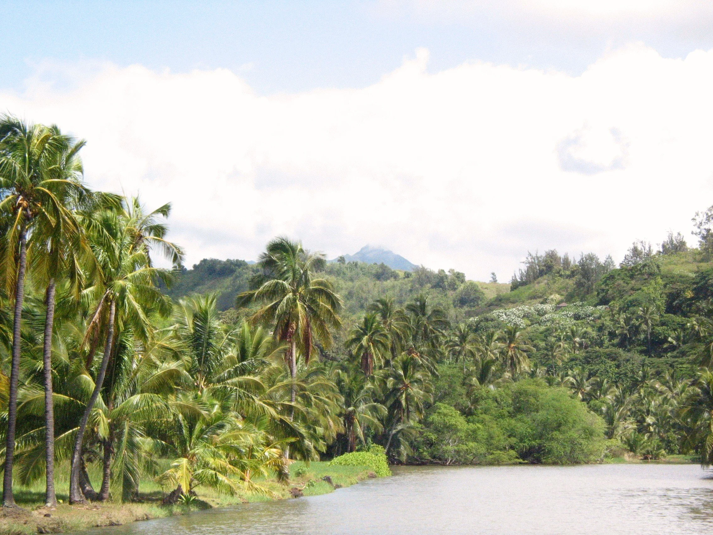 Allerton Garden, Kaua’i