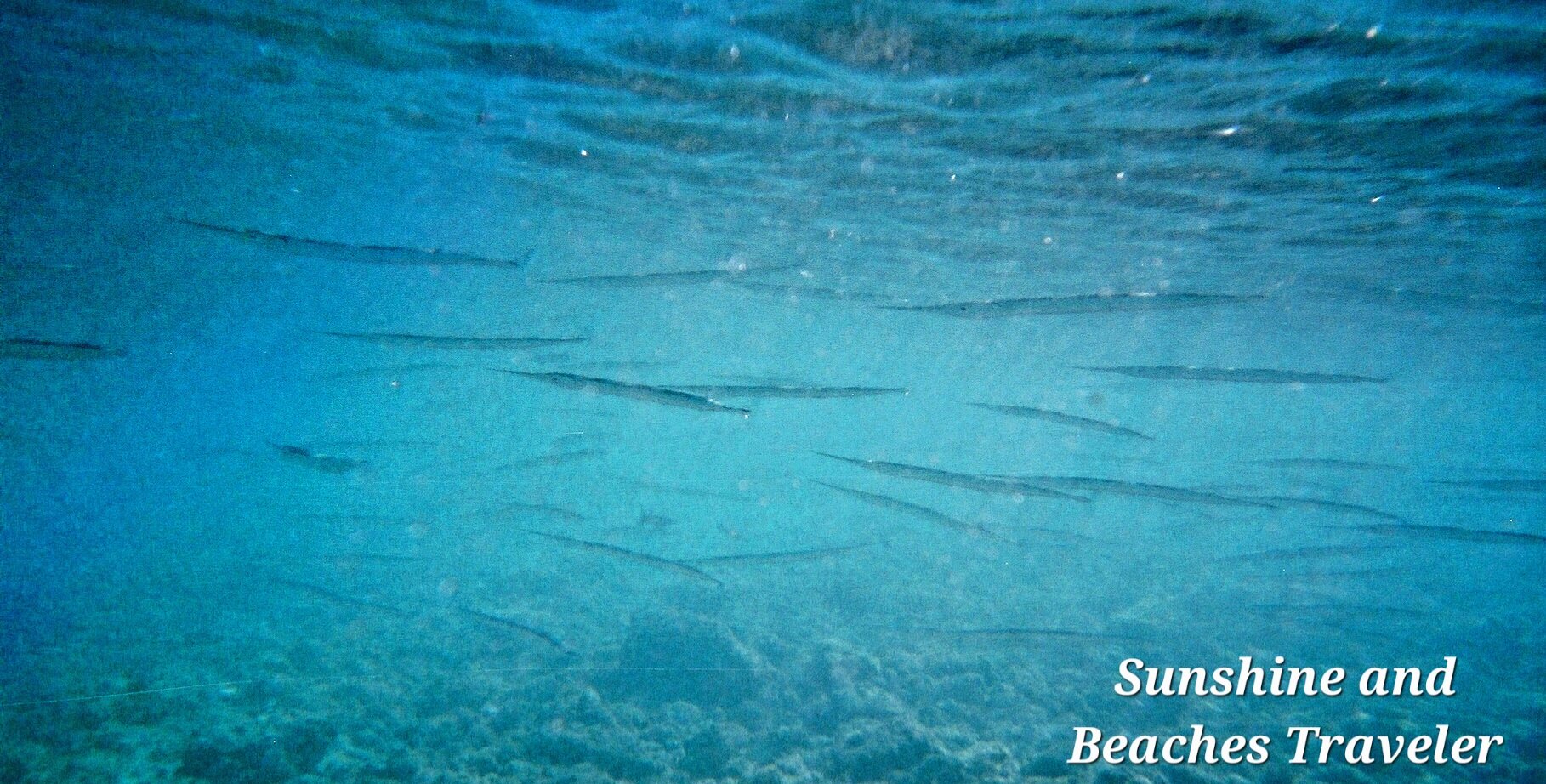 Snorkeling at Ke’e Beach, Ha’ena State Park, Kauai, Hawaii
