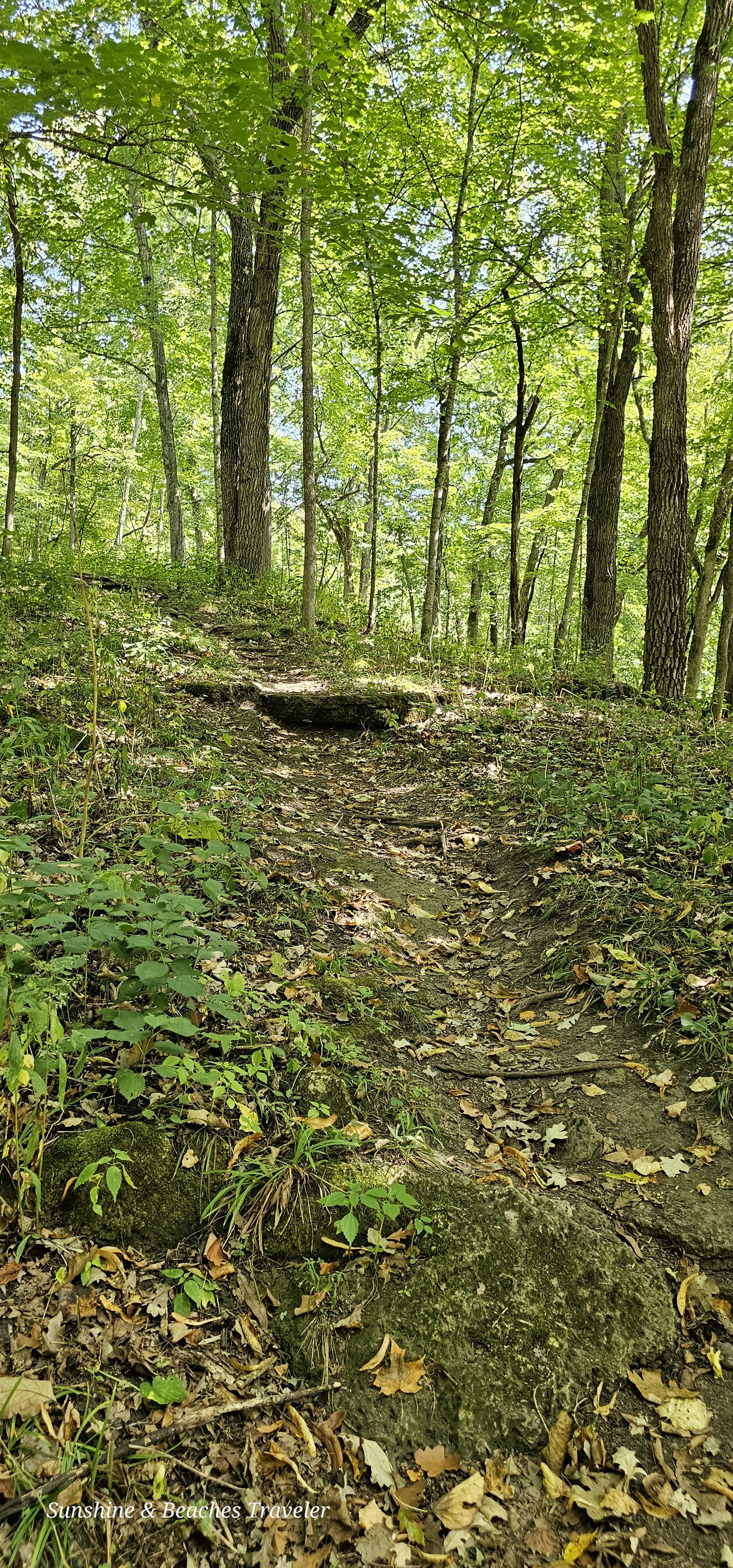 20230825_112117.jpg