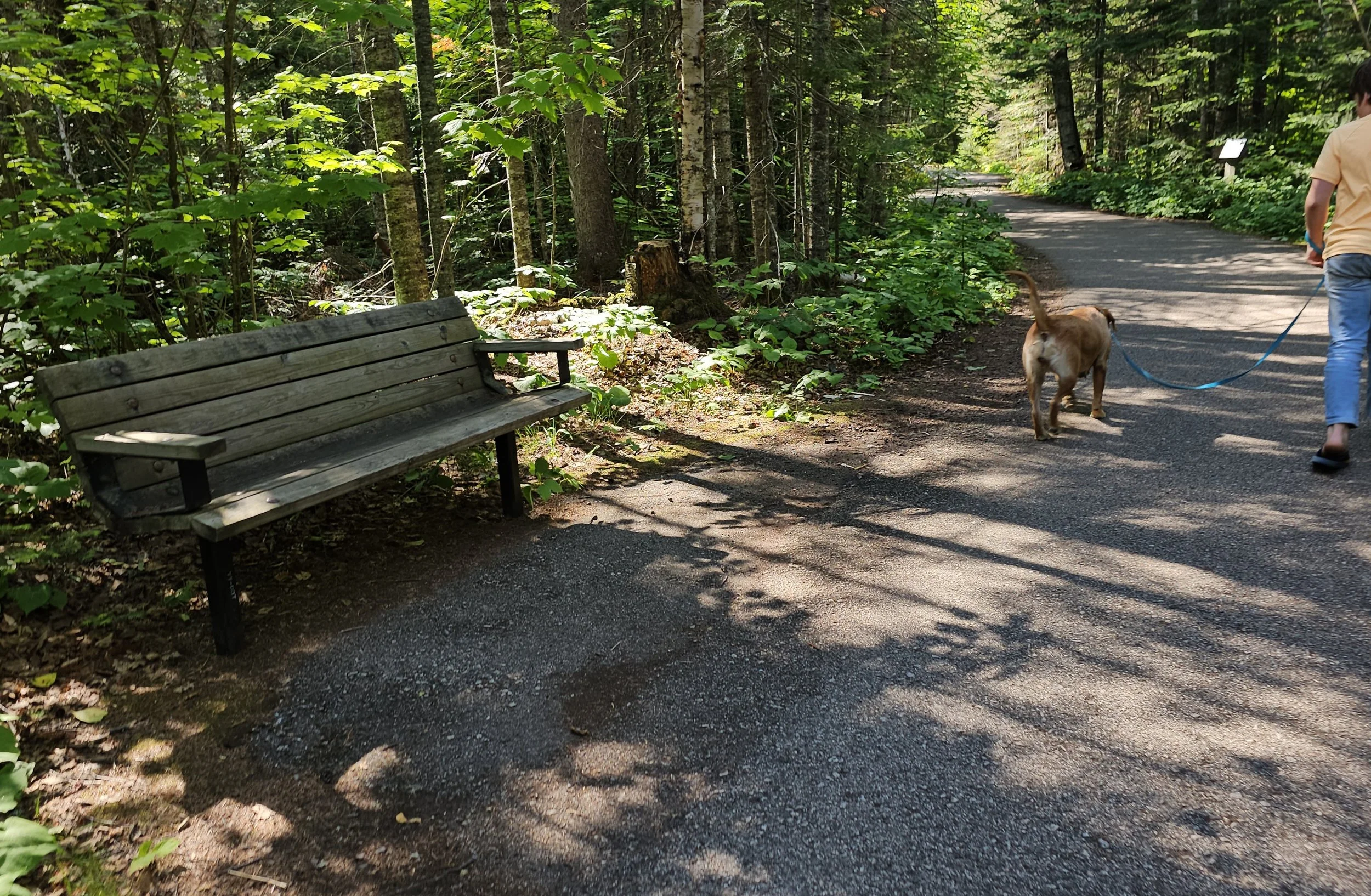 Grand Portage State Park in Grand Portage, Minnesota