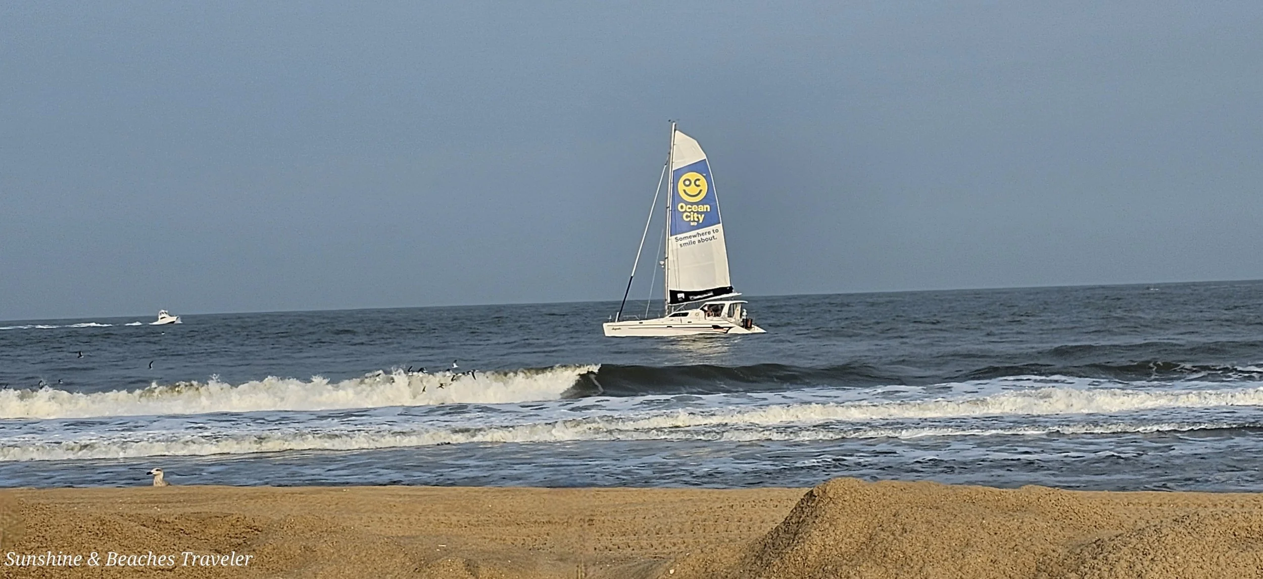 20231001_173454 - Copy.jpg