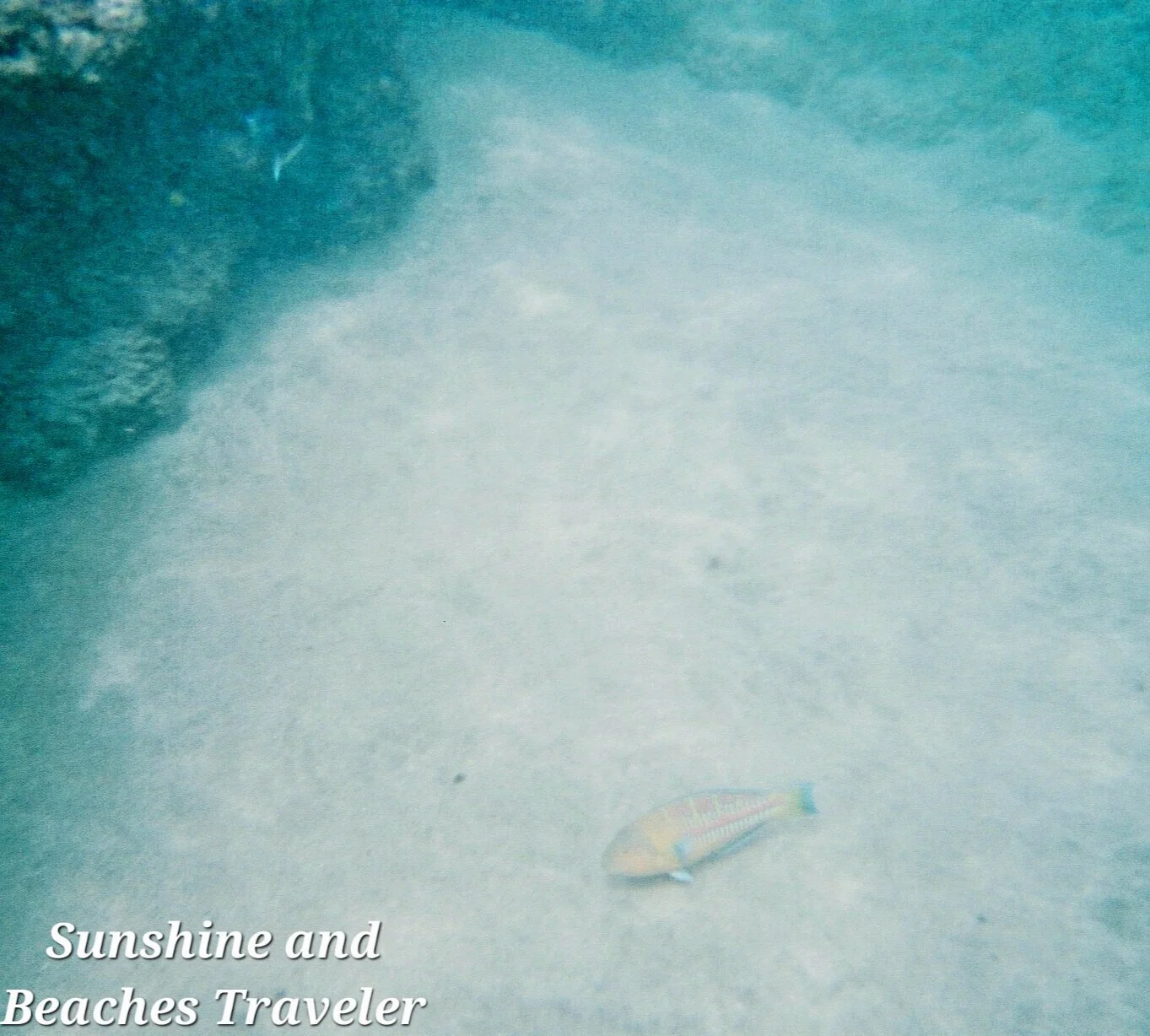 Snorkeling at Ke’e Beach, Ha’ena State Park, Kauai, Hawaii