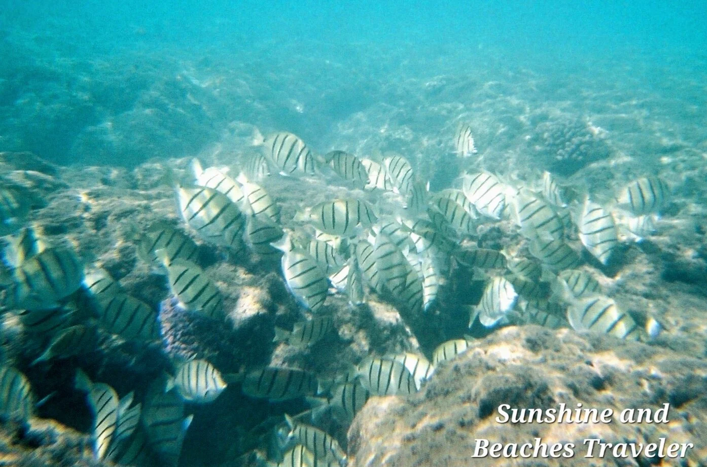 Snorkeling at Ke’e Beach, Ha’ena State Park, Kauai, Hawaii