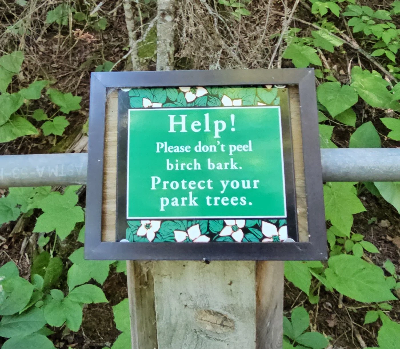 Grand Portage State Park in Grand Portage, Minnesota