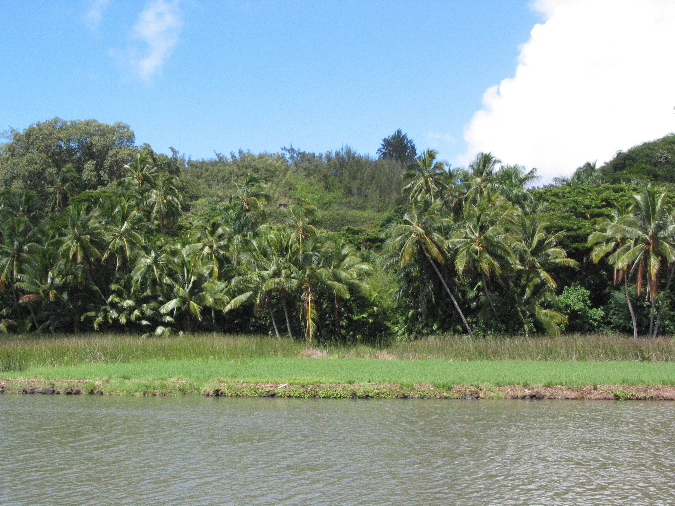 Allerton Garden, Kaua’i