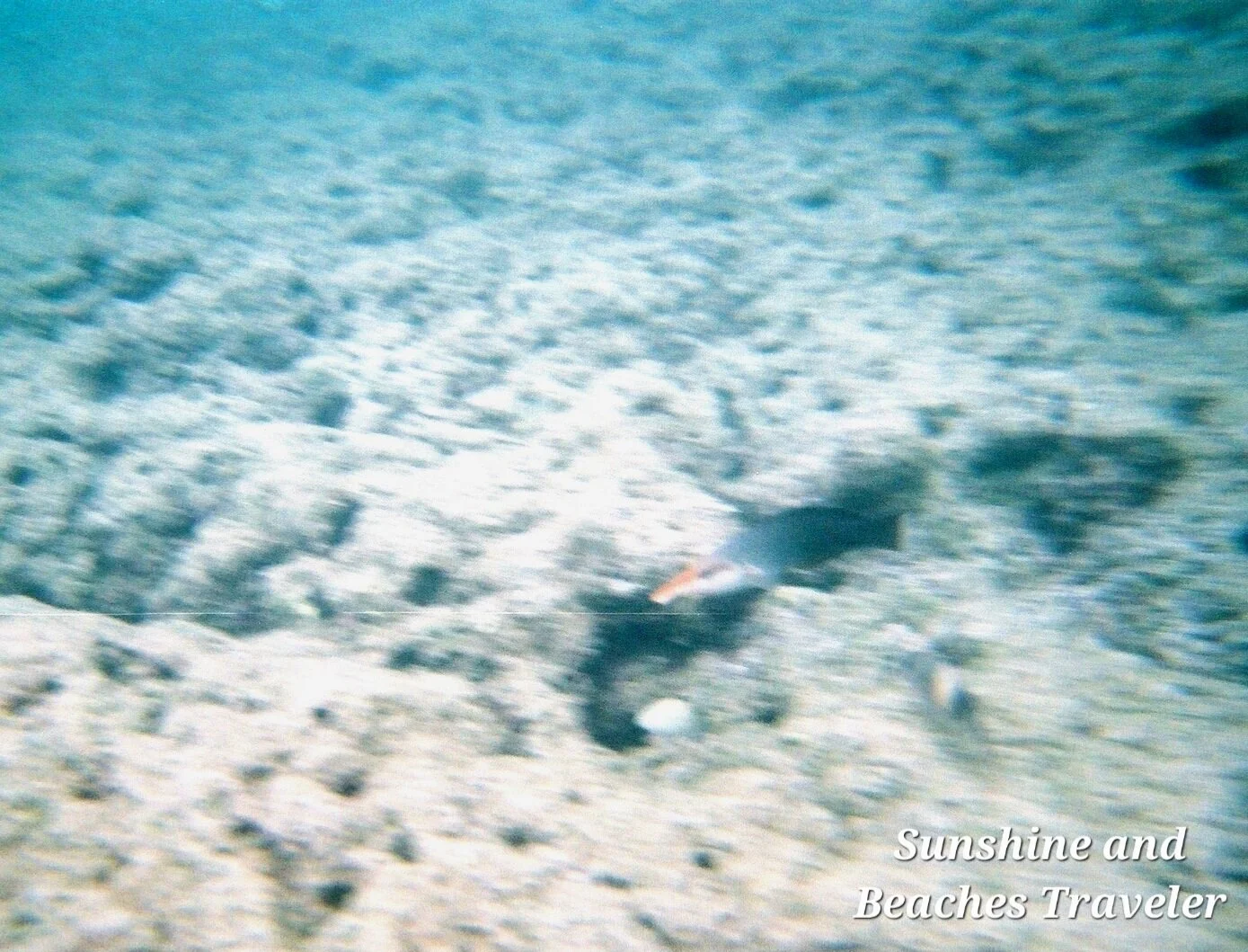 Snorkeling at Ke’e Beach, Ha’ena State Park, Kauai, Hawaii