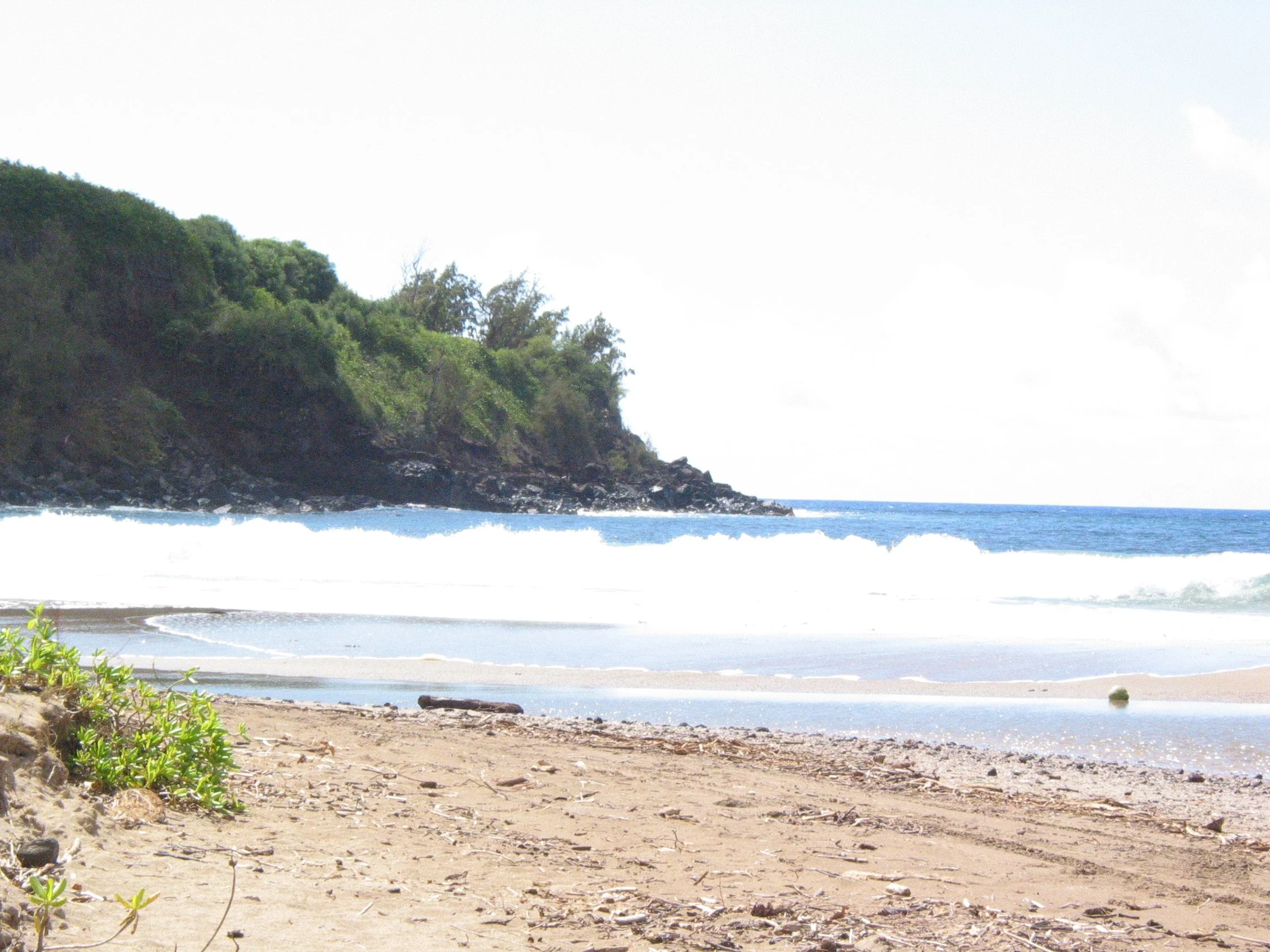 Allerton Garden, Kaua’i