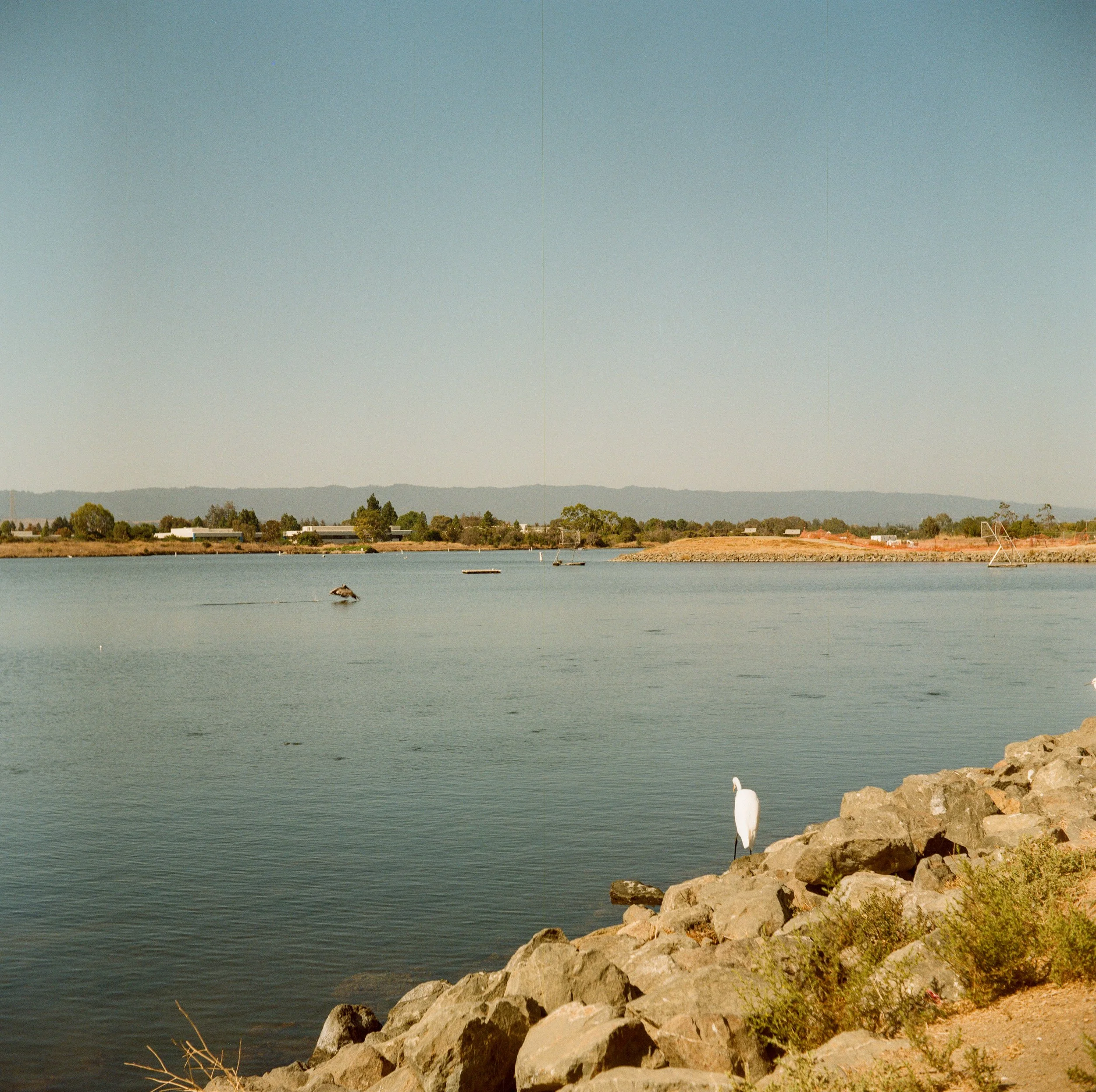 USA 2026-000010320009.jpg