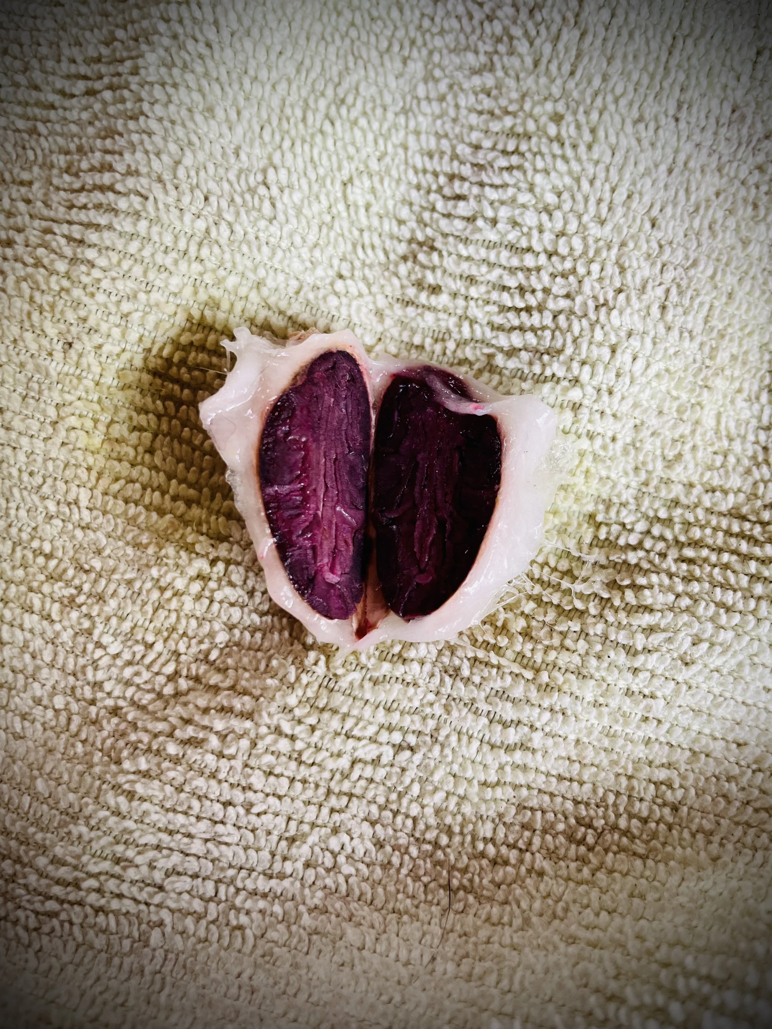 Learn more about Cacao......