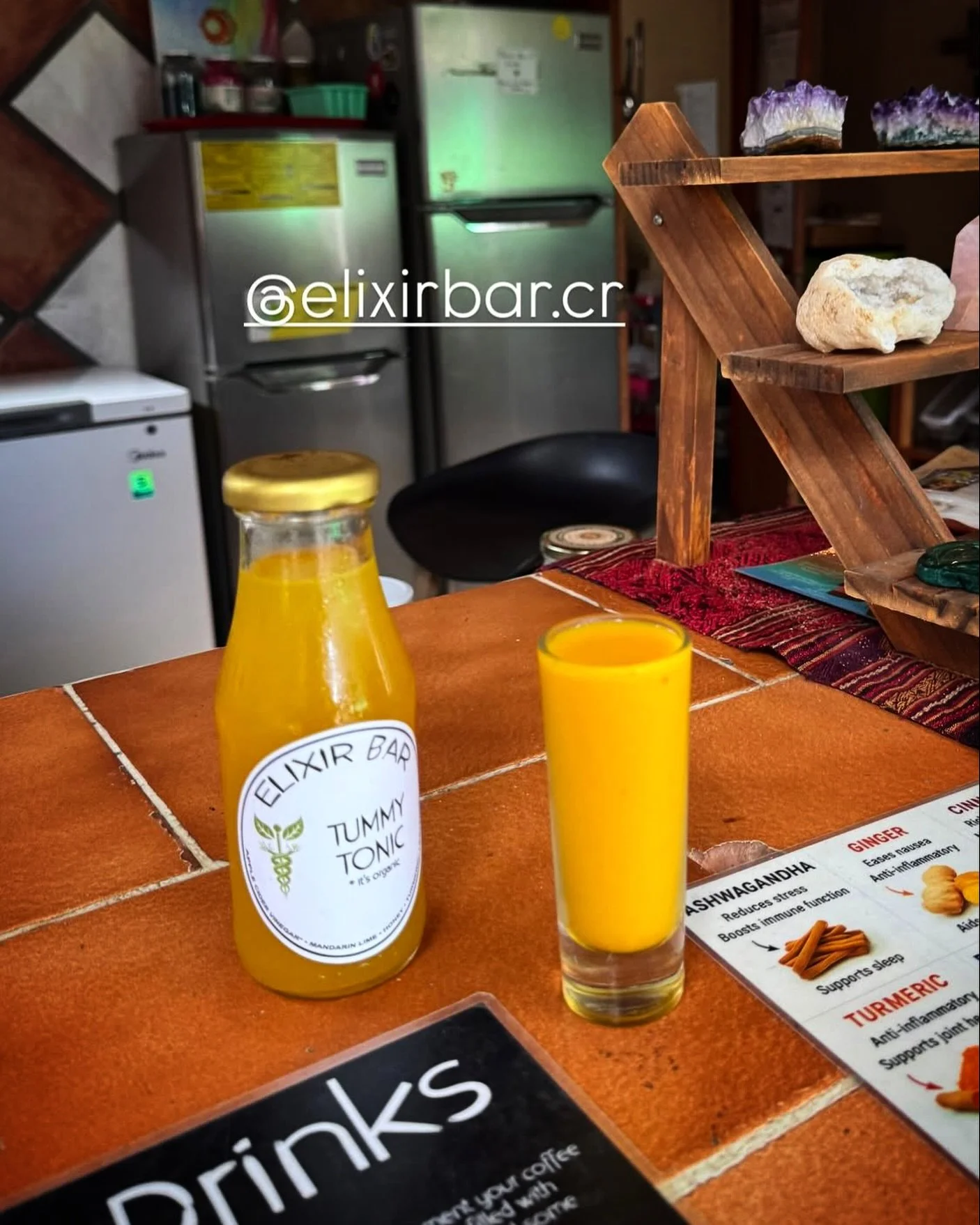 Beautiful &amp; Delicious (Tummy Tonic and Ginger Shot); that&rsquo;s Elixir 💜💚 
.
📸: @natalialfaro_