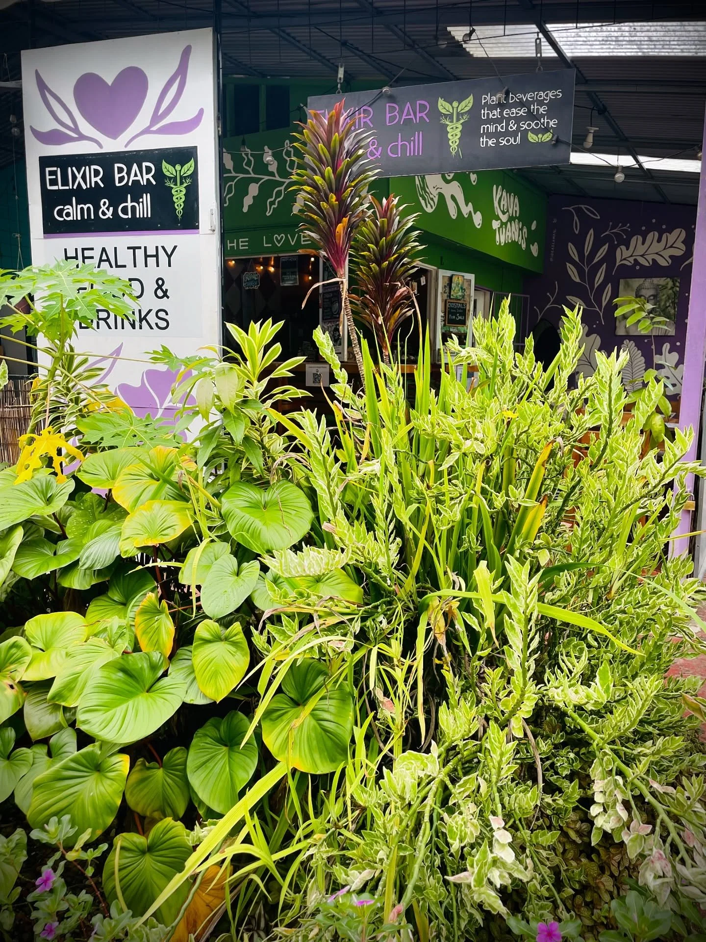 #Sober curious? Check out what&rsquo;s inside 💚💜