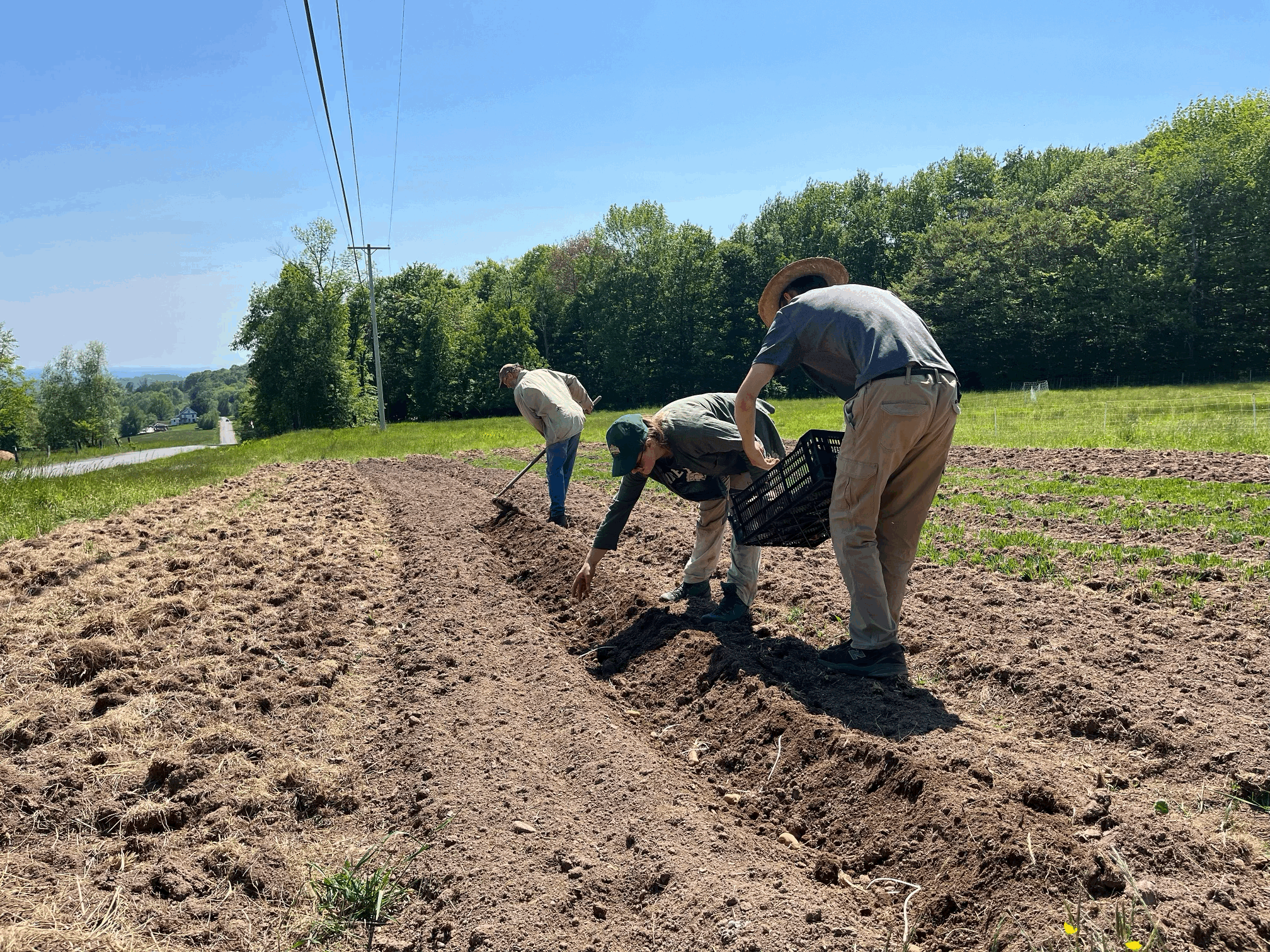 June 1st Community Work Party