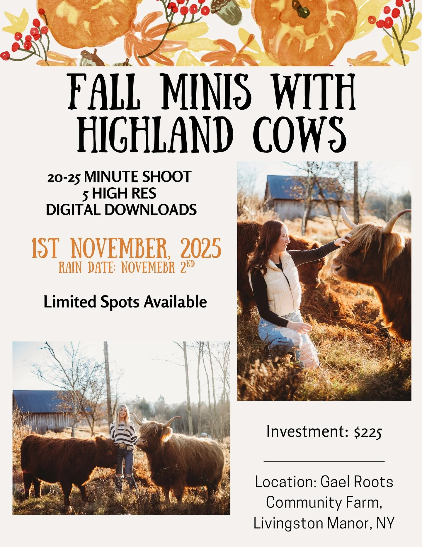 Fall Mini Photoshoot with the cows! 20% goes towards Gael Roots and our work! Spots are almost sold out! @allisonhemmerphotography link in bio
