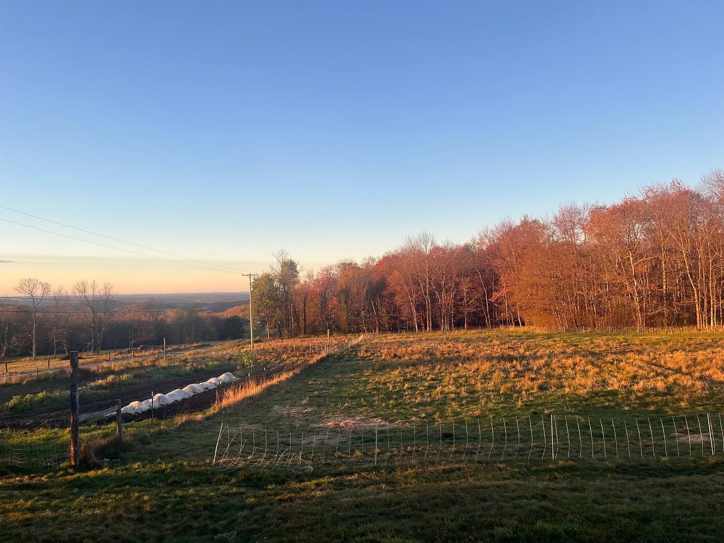 Golden morning in the mountains ✨