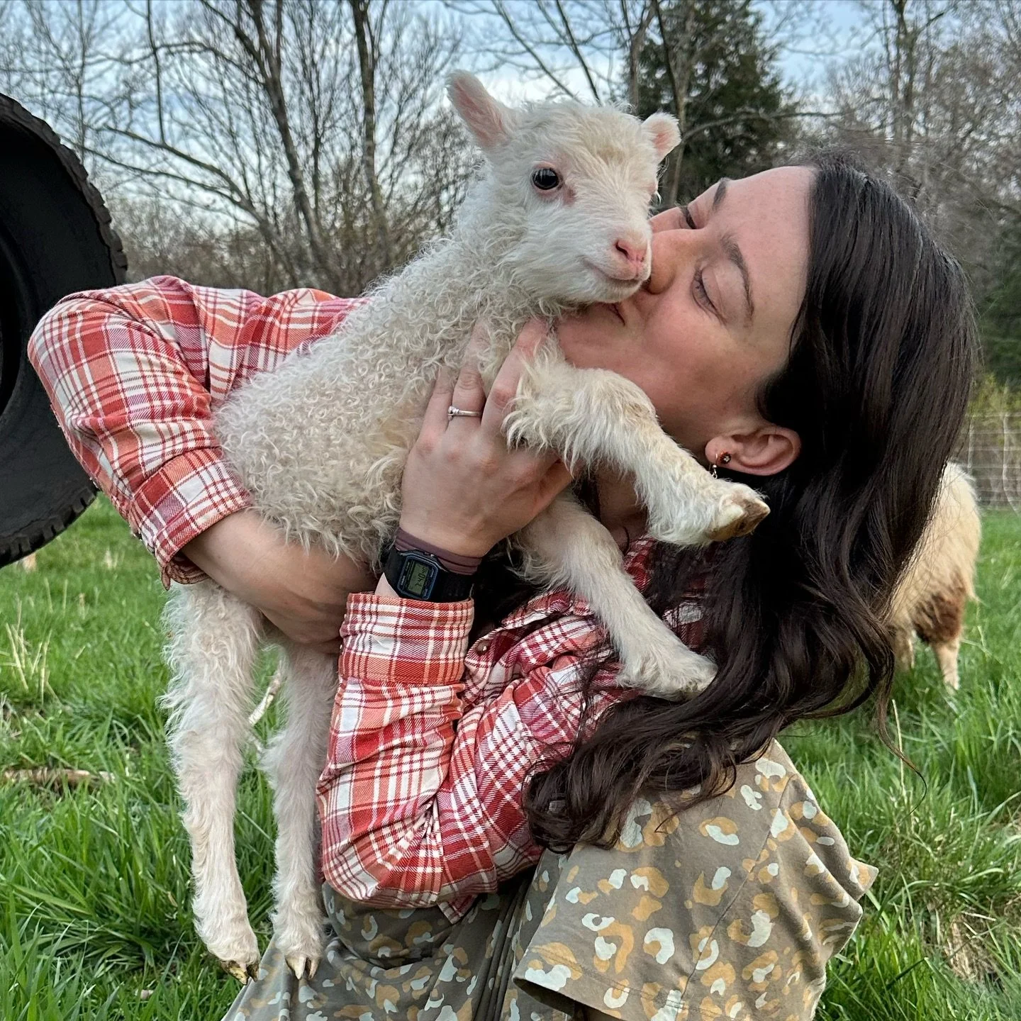 Just like our sweet Icelandic lambs who grow while grazing in the farm fields, Gael Roots is growing with community support! It&rsquo;s Giving Tuesday and by donating to our Grow With Us campaign, you&rsquo;ll help us continue to expand our capacity.