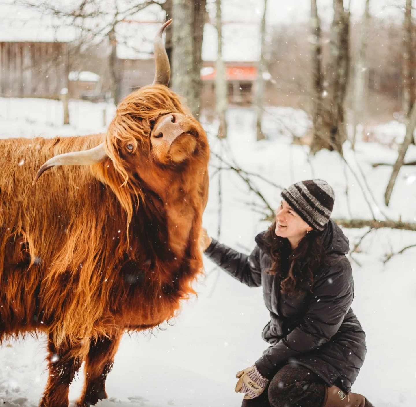 Happy Holidays from Gael Roots Community Farm! 

If you are interested in supporting our work in 2026, please consider donating to our Grow With Us campaign. We have raised over 68K and every small donation goes a long way! Even $10 makes a differenc