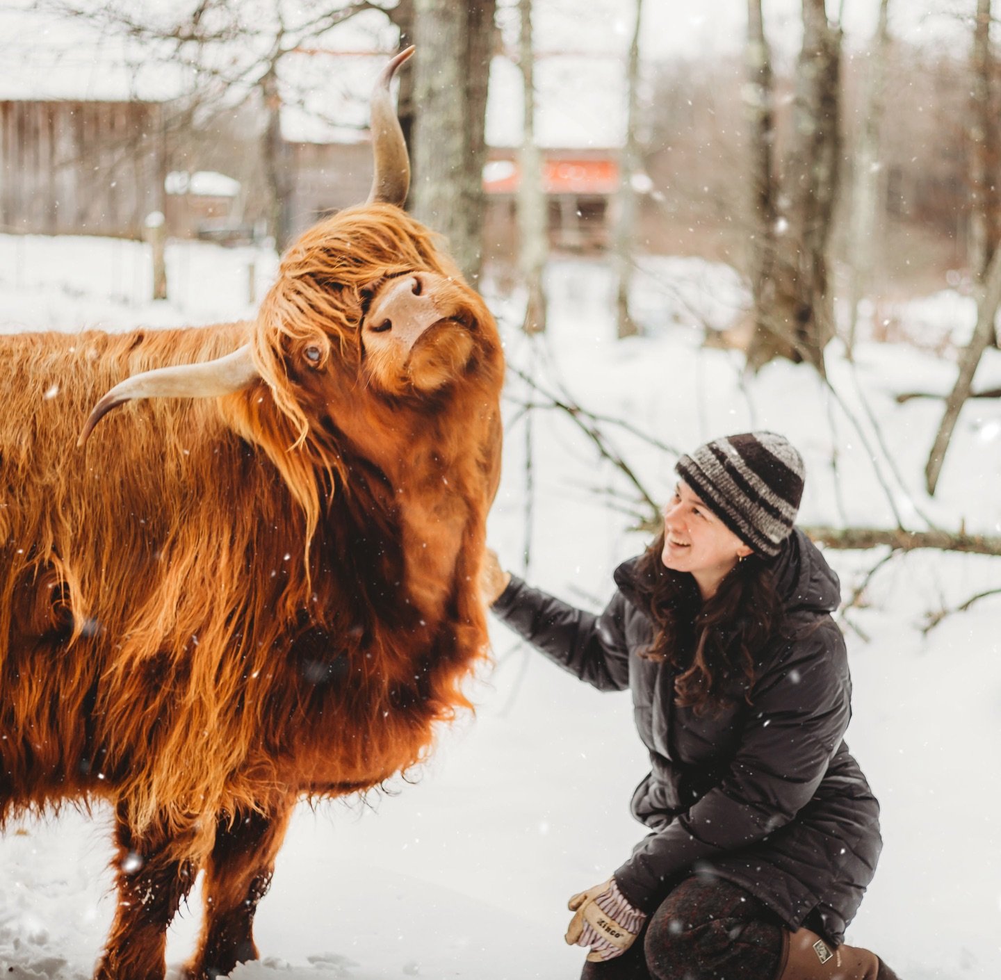 Happy Holidays from Gael Roots Community Farm! 

If you are interested in supporting our work in 2026, please consider donating to our Grow With Us campaign. We have raised over 68K and every small donation goes a long way! Even $10 makes a differenc