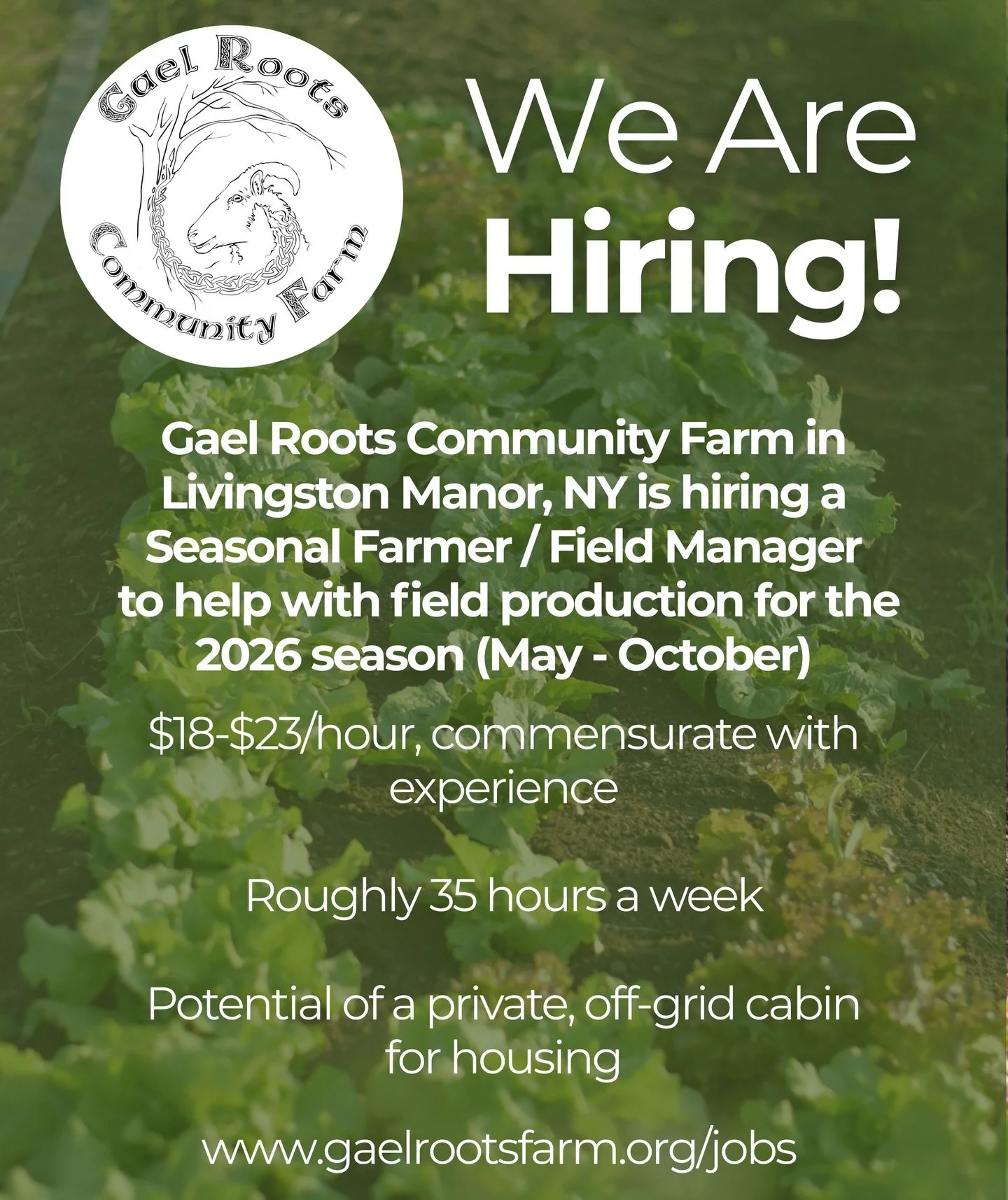 Gael Roots is a nonprofit organization working at the intersections of farming, agricultural education, food access, and expanding  fiber arts in the community. We are located on 150 acres of land encompassing pastures, forest, and new garden spaces.
