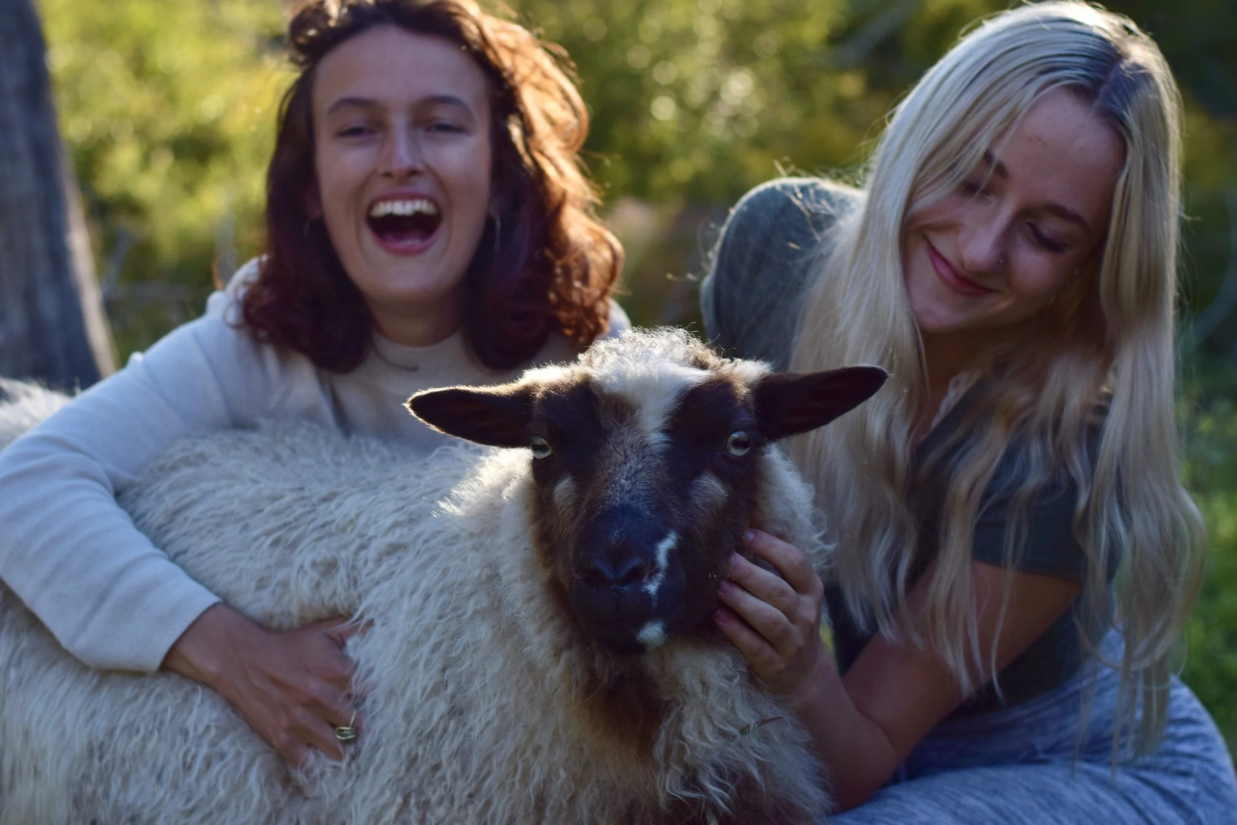 Spring and Summer Programs coming soon! 